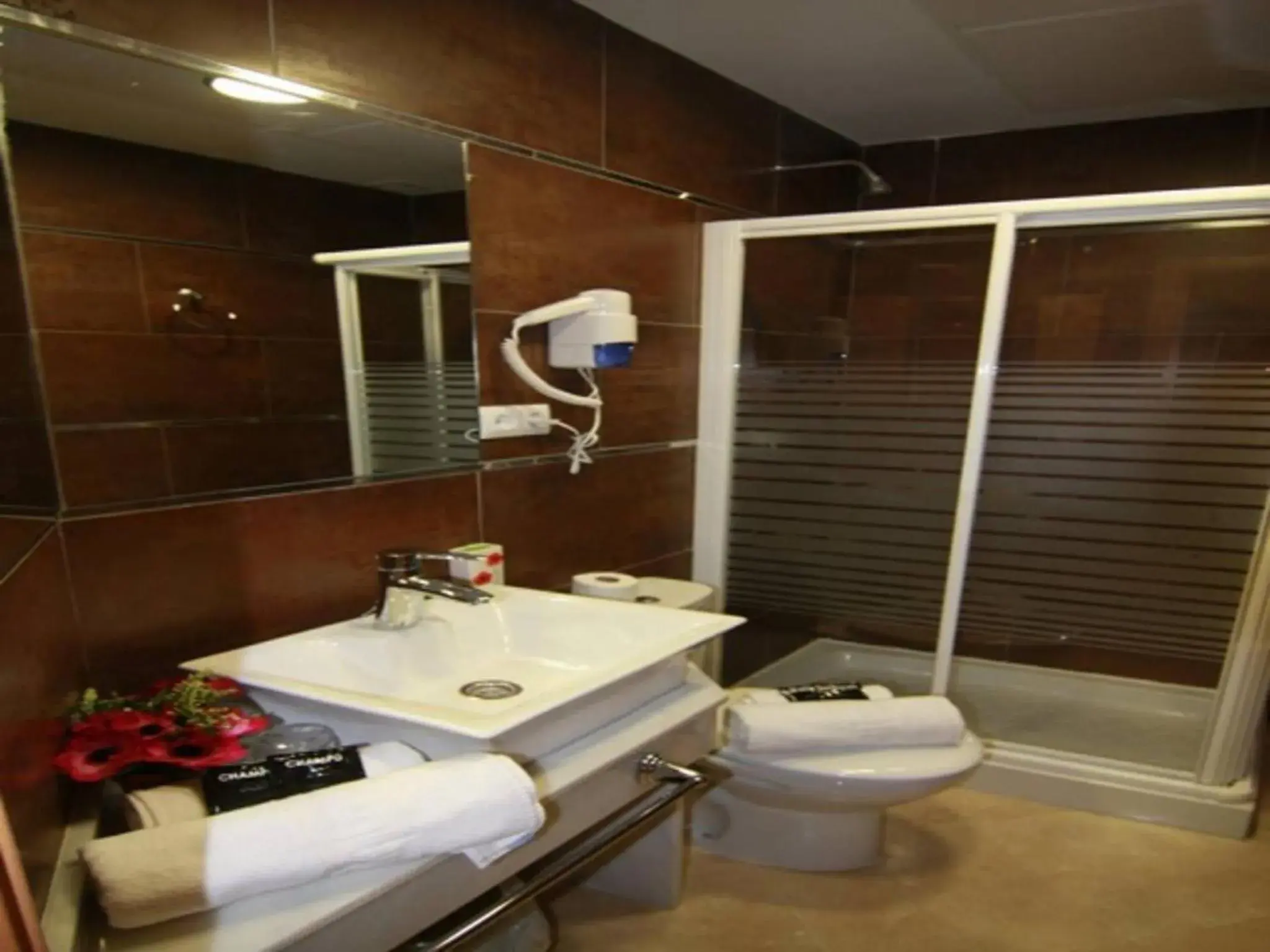 Bathroom in Hotel Duquesa