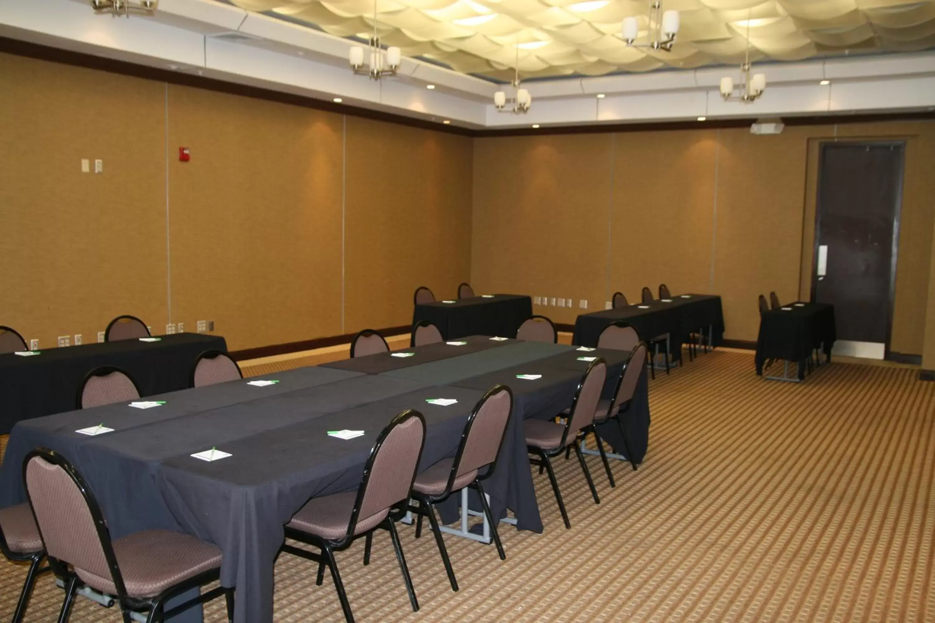 Meeting/conference room in Holiday Inn Macon North, an IHG Hotel