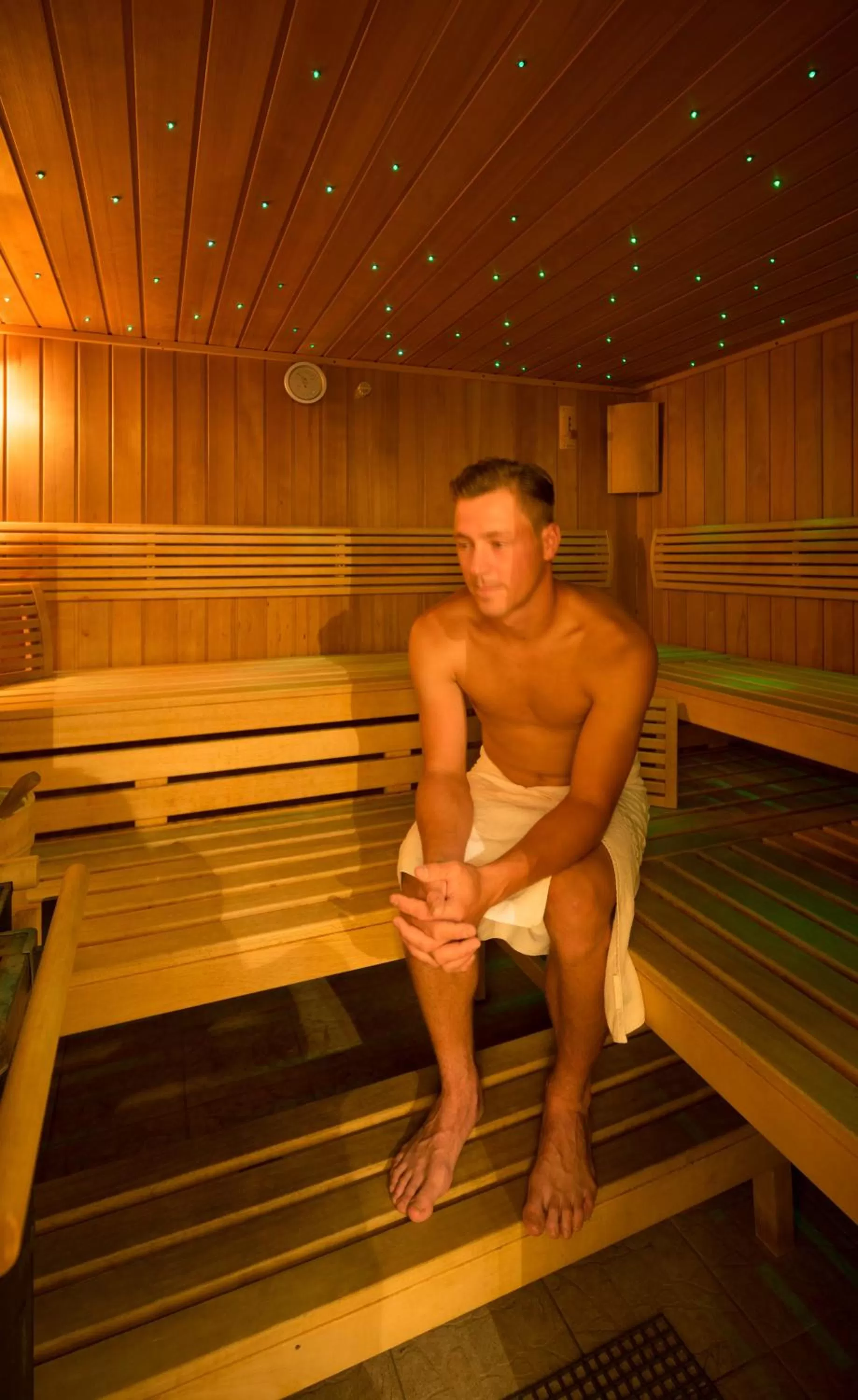 Sauna in Hotel Garni Oasis Loipersdorf