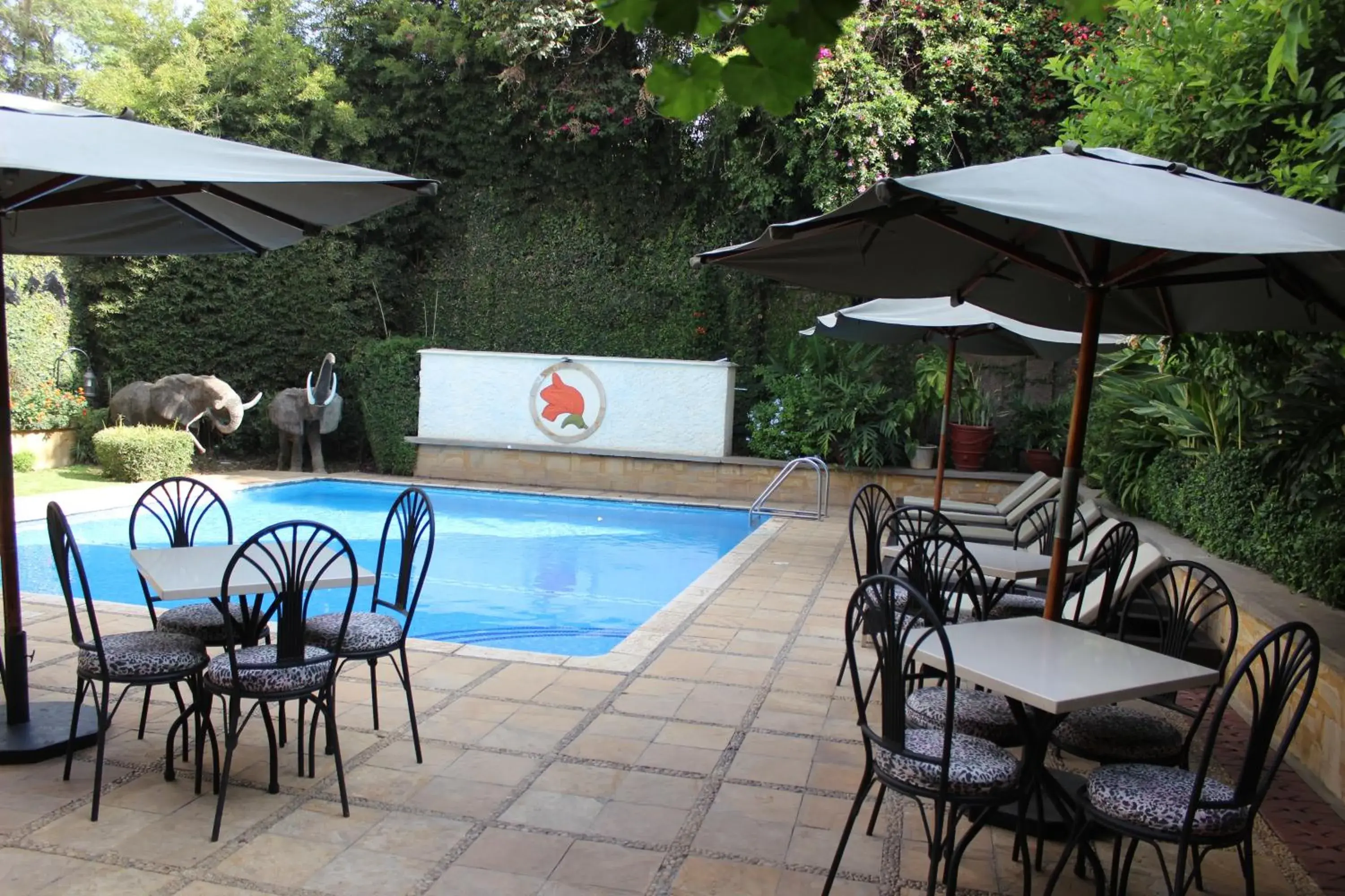 Swimming Pool in The African Tulip Hotel