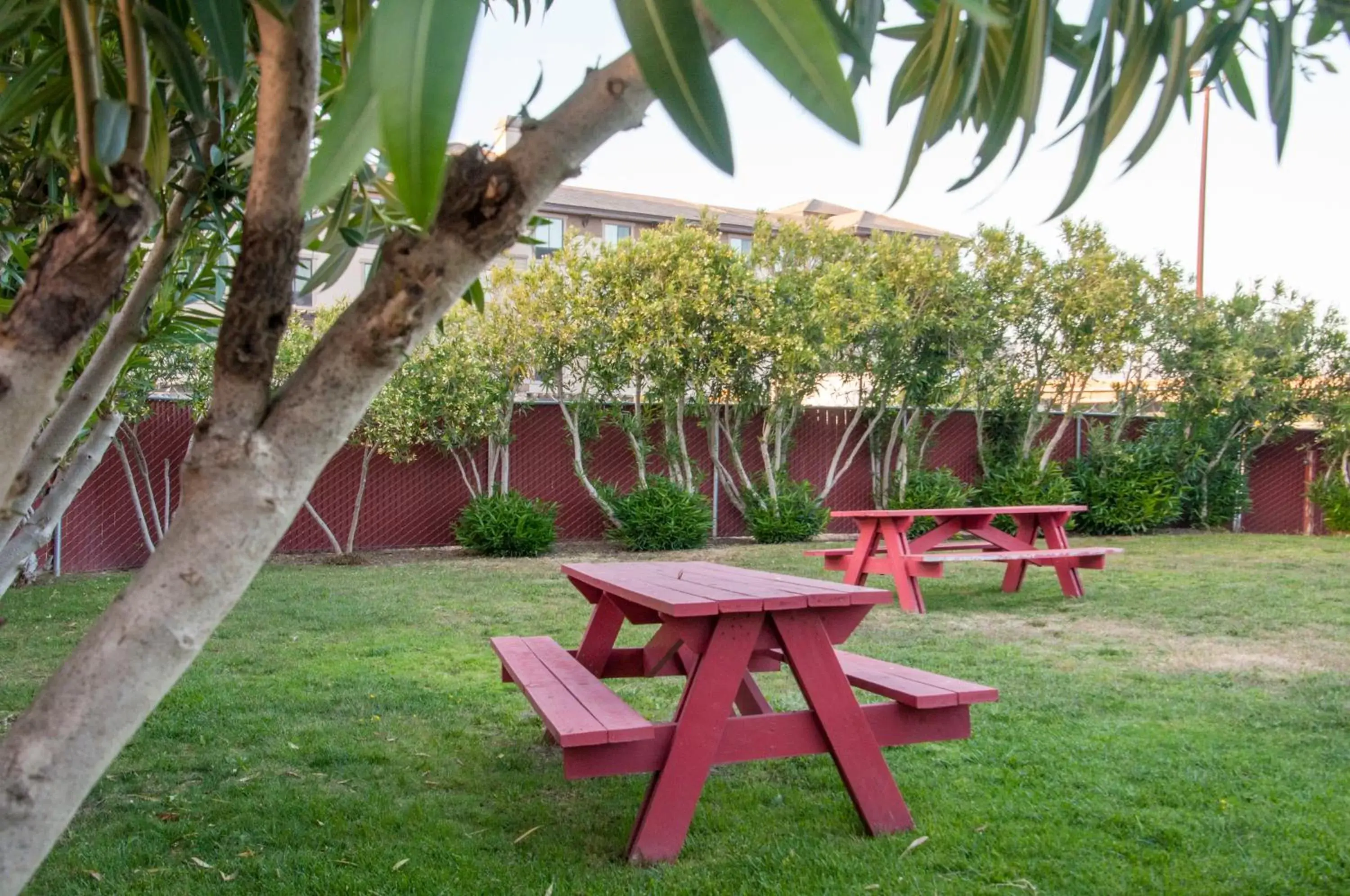 BBQ facilities, Garden in Hotel Calle Joaquin - San Luis Obispo