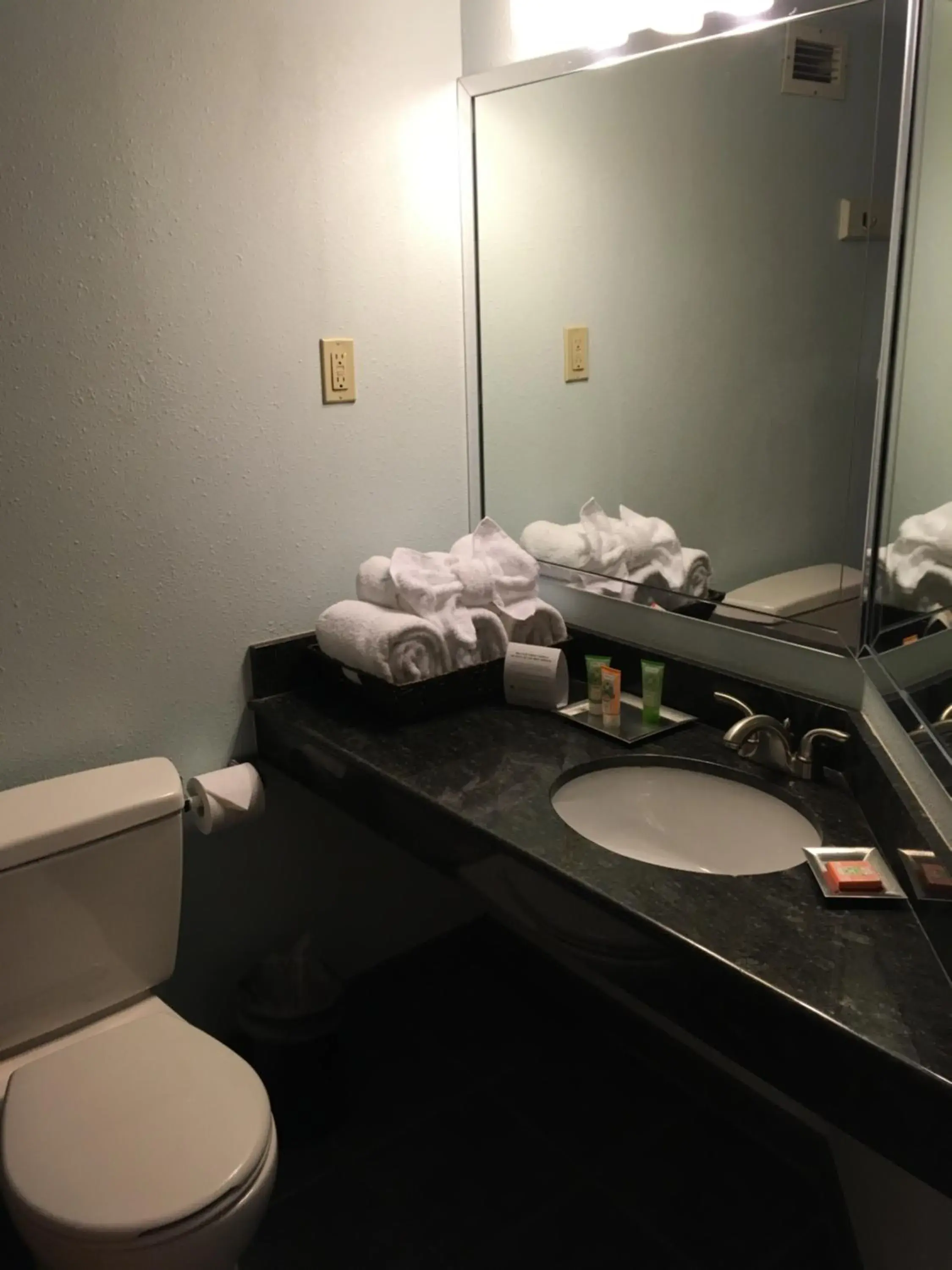 Shower, Bathroom in Wyndham Garden Hotel Austin