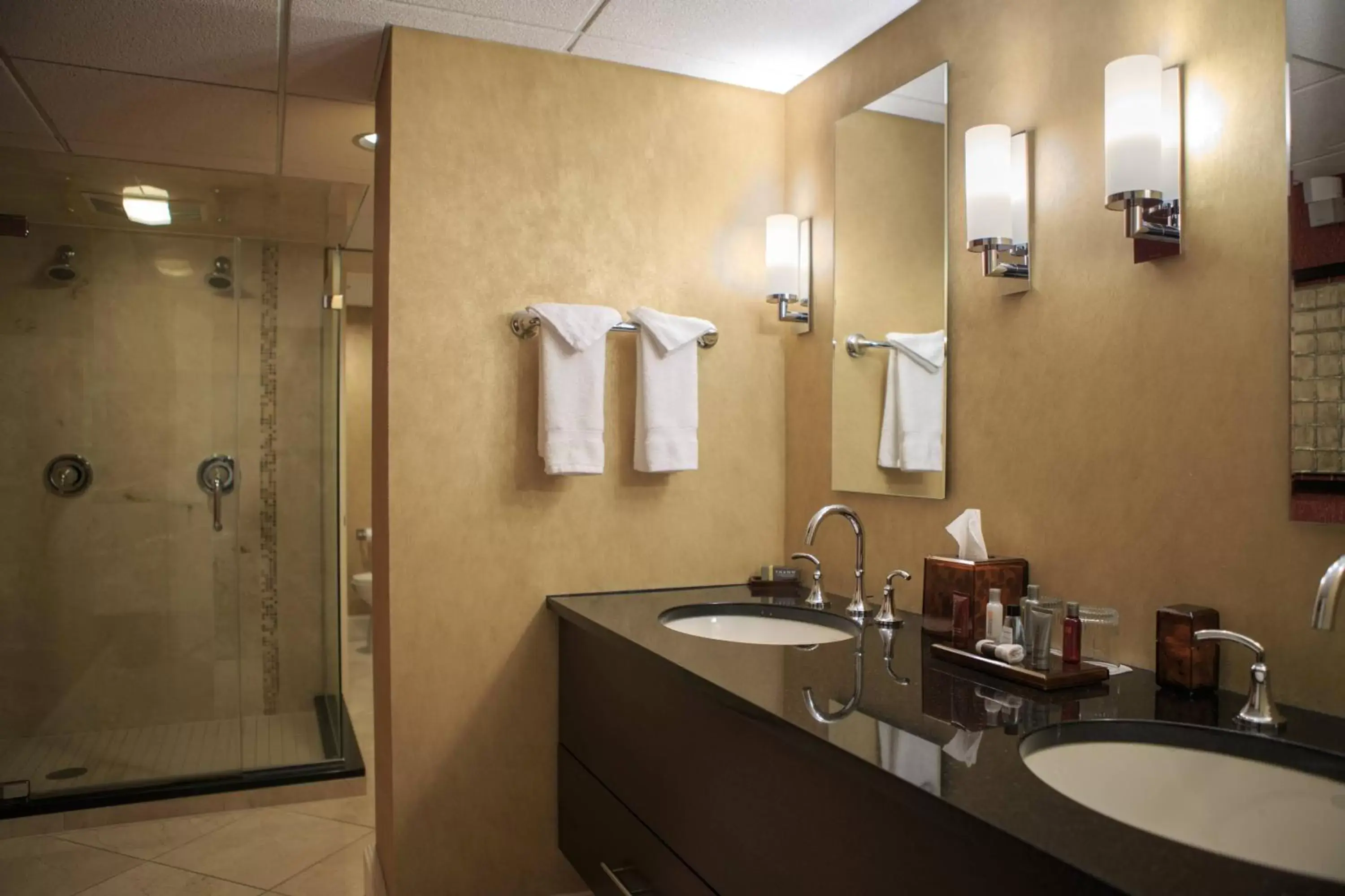 Bathroom in Cleveland Marriott Downtown at Key Tower