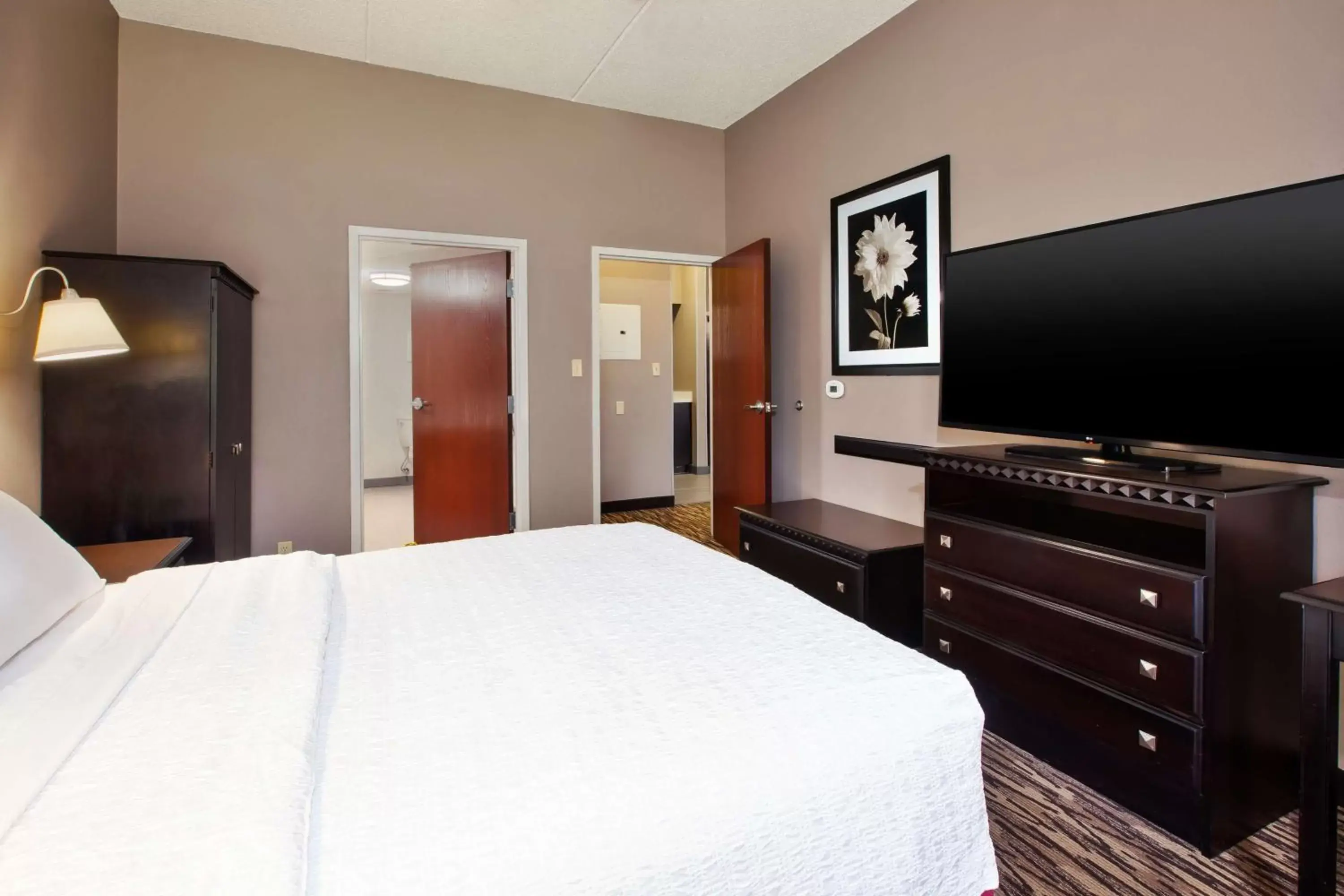 Bed, TV/Entertainment Center in Hampton Inn & Suites Cleveland-Airport/Middleburg Heights