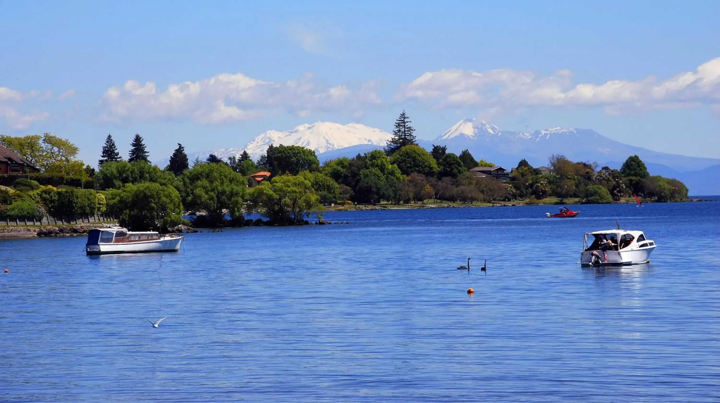 Natural landscape in Millennium Hotel & Resort Manuels Taupo