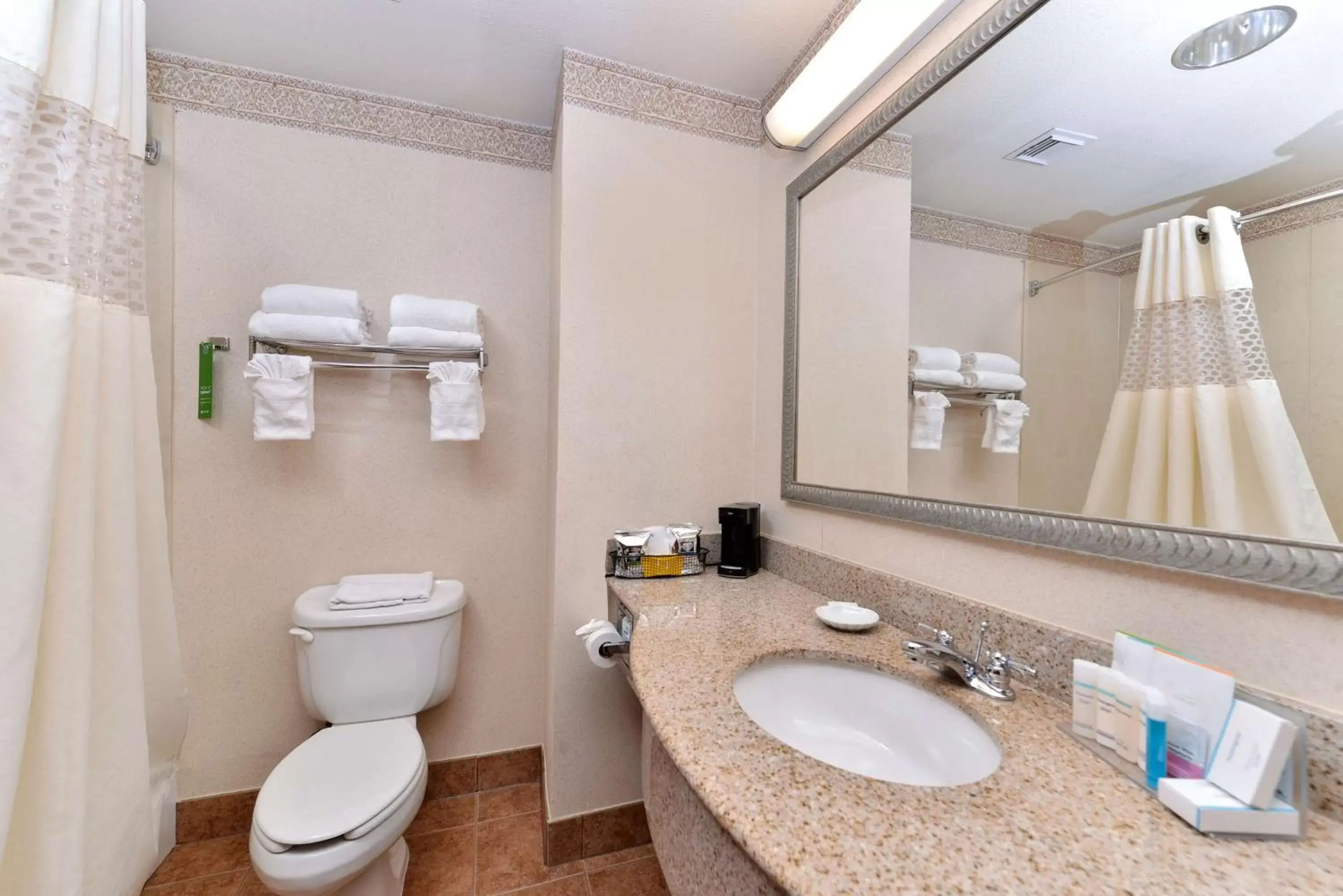 Bathroom in Hampton Inn Houston-Deer Park Ship Area