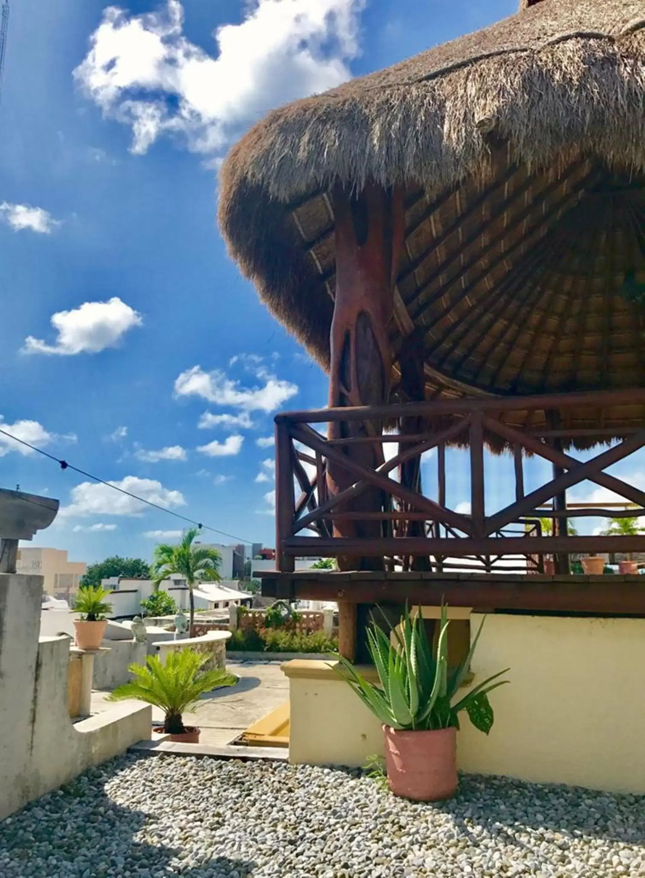 Patio in Hotel Cielo