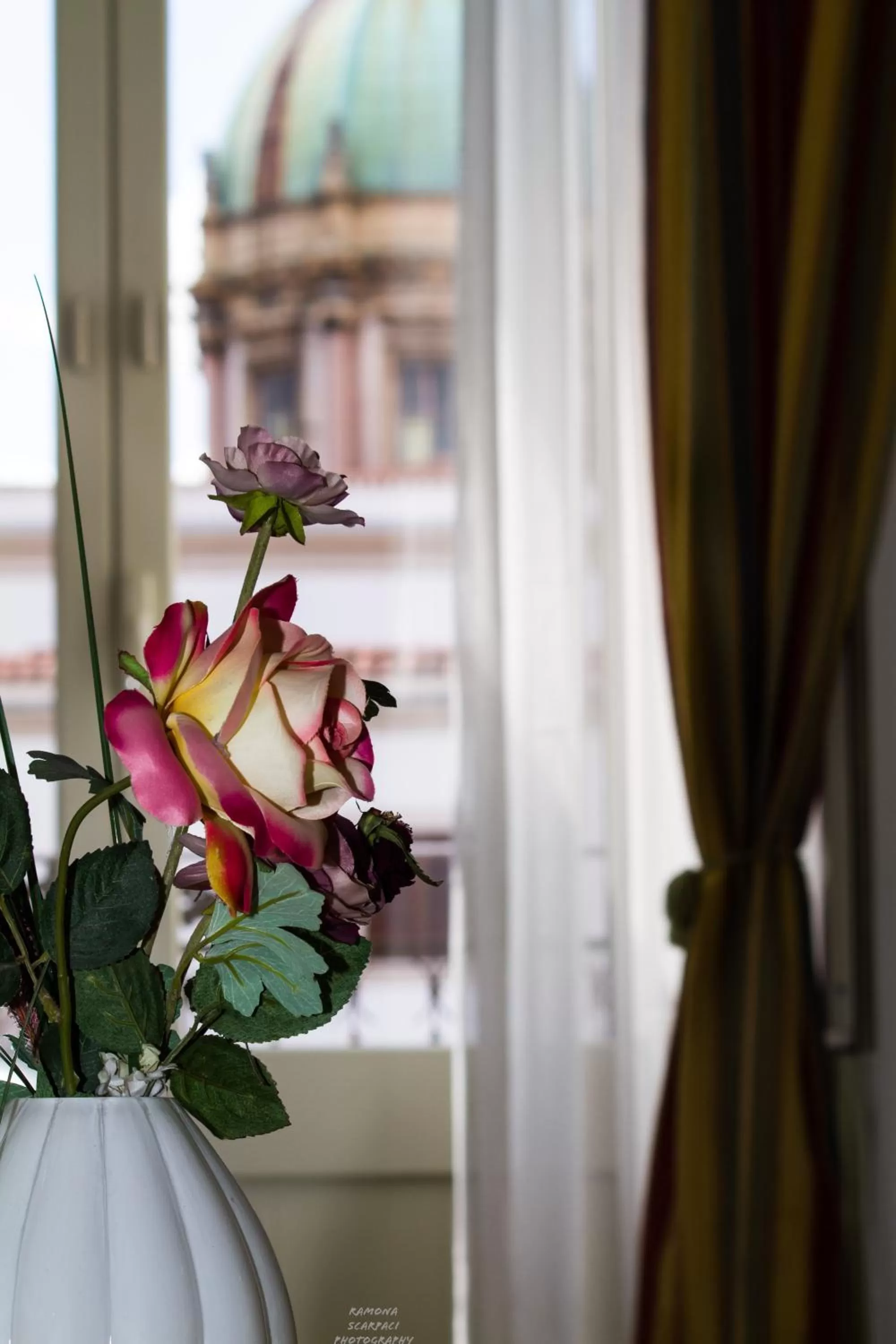 Cavour Il Conte Camillo