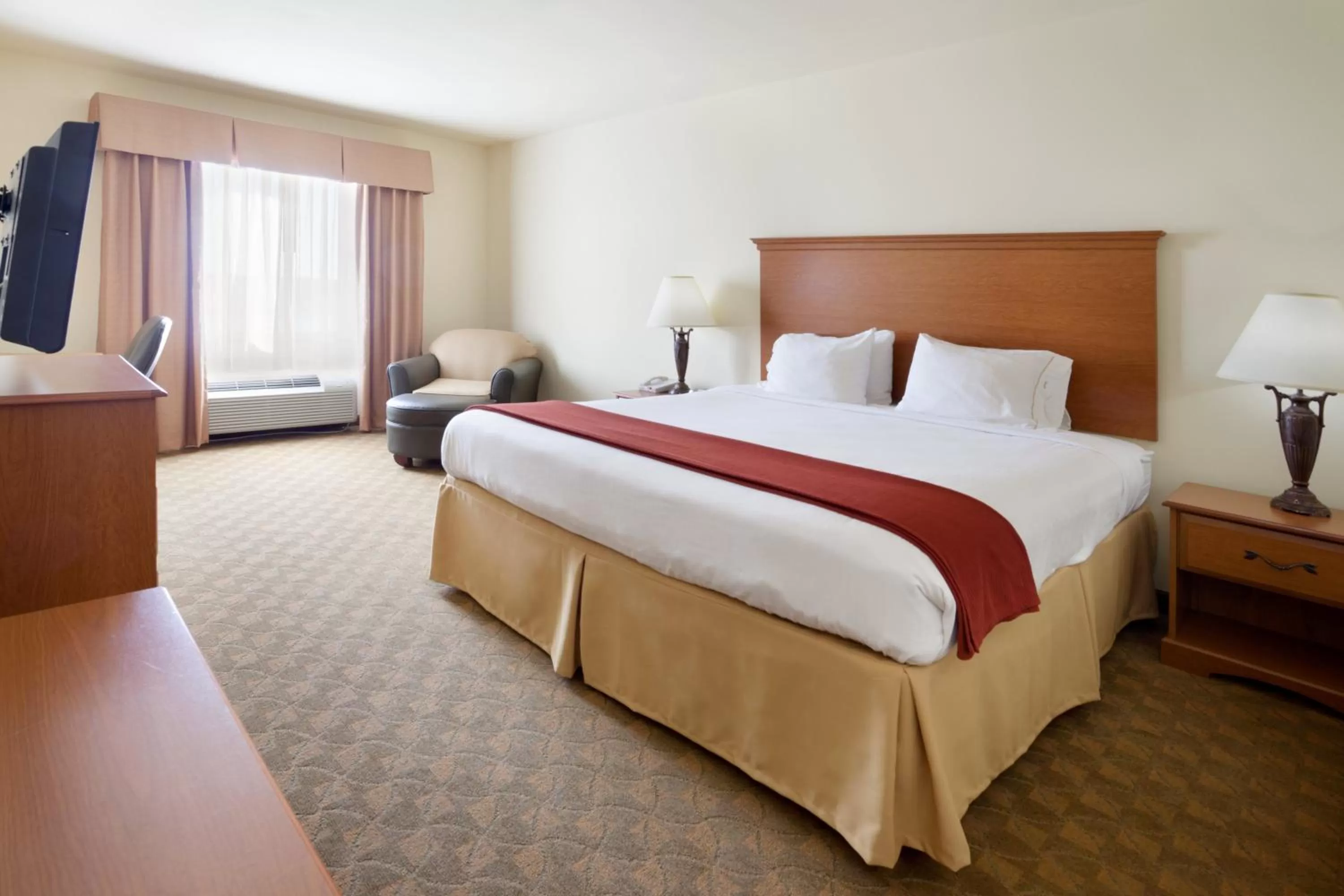 Photo of the whole room, Bed in Holiday Inn Express Hotel & Suites Zapata by IHG