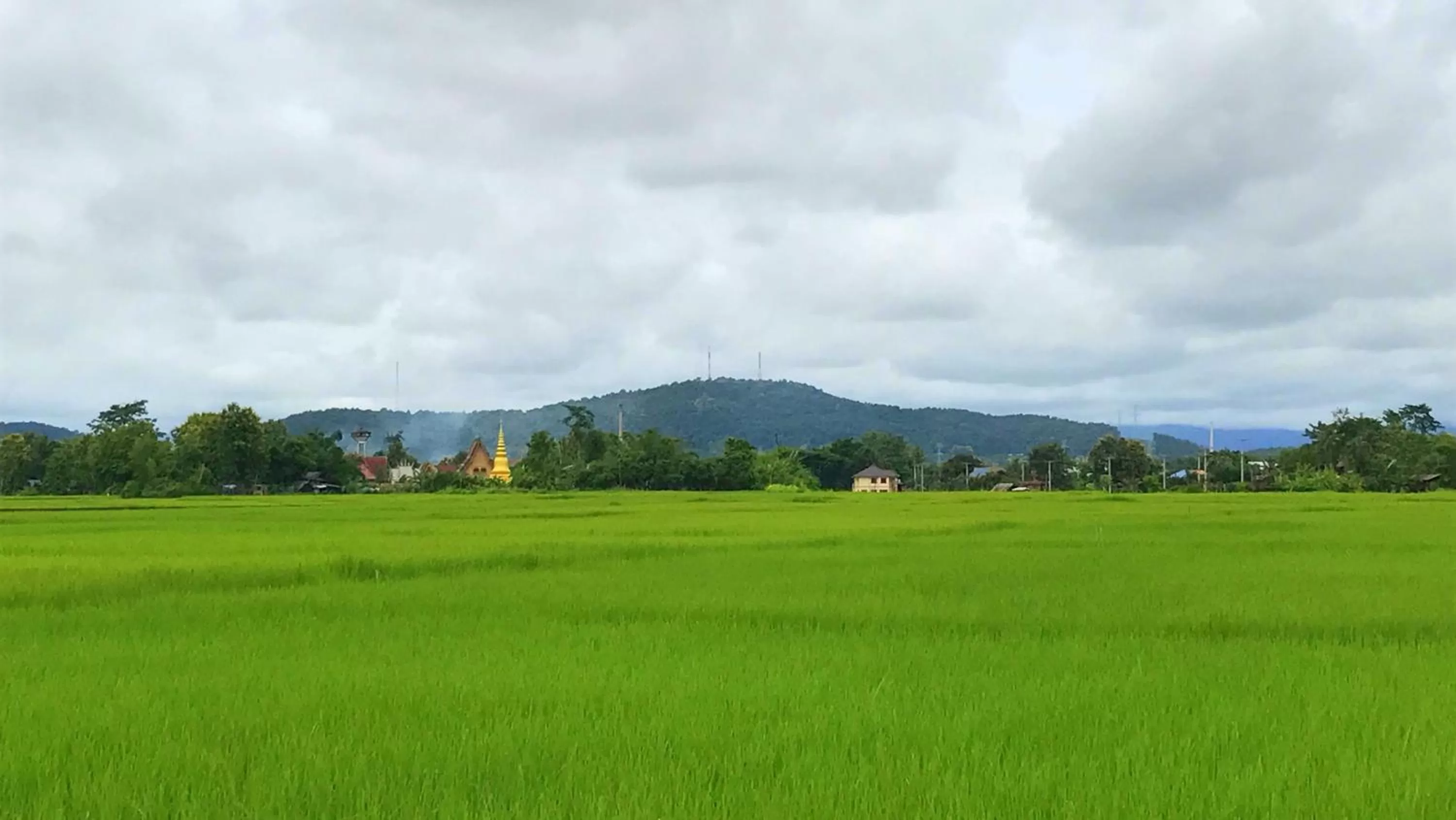 Natural landscape in Nan Seasons Boutique Resort