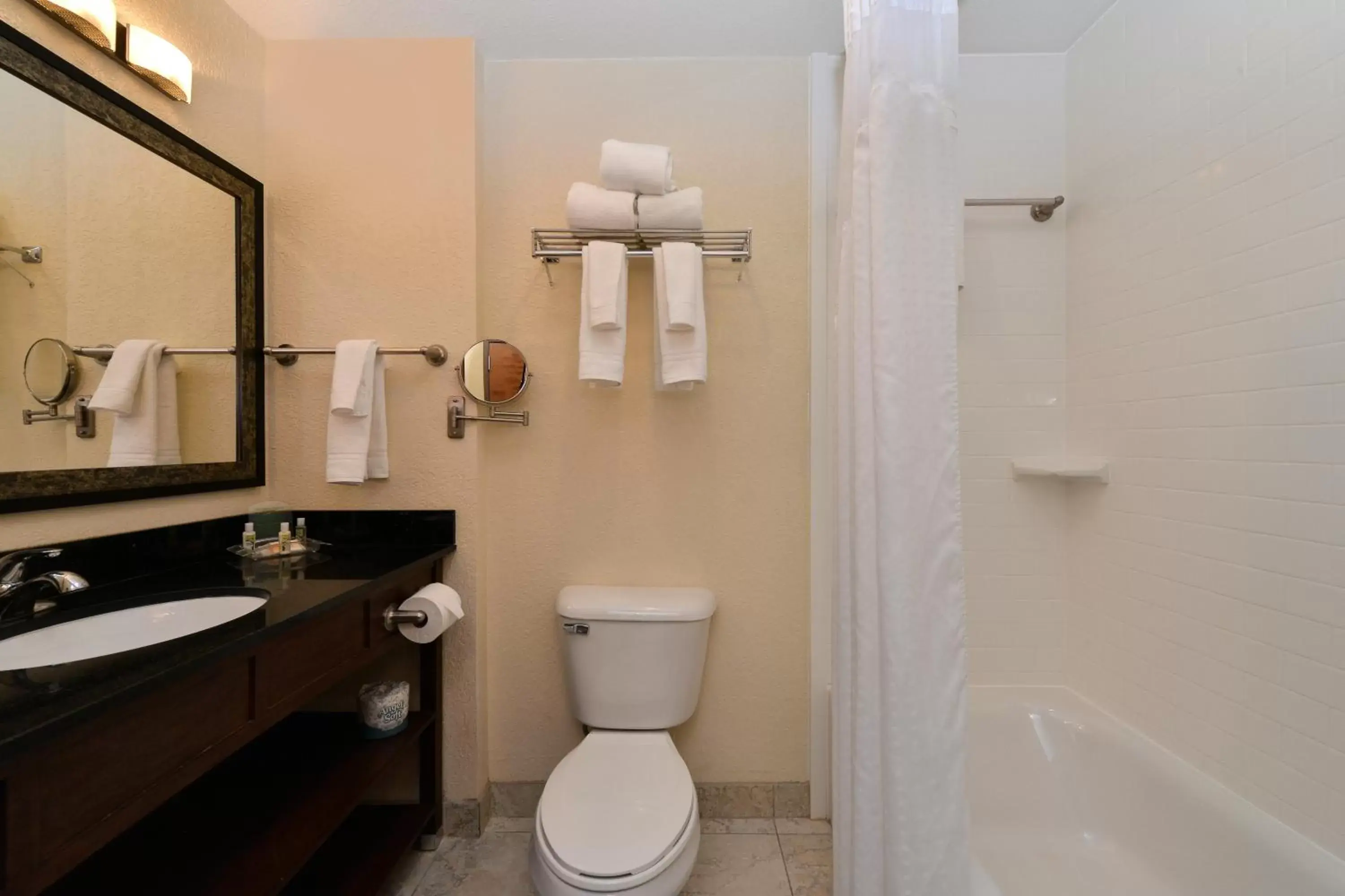 Photo of the whole room, Bathroom in Holiday Inn Montgomery South Airport, an IHG Hotel