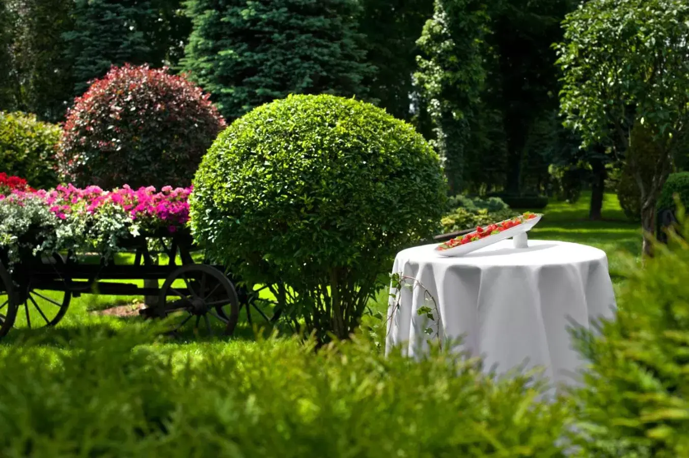 Garden in Booking Hotel Crown Piast & Spa