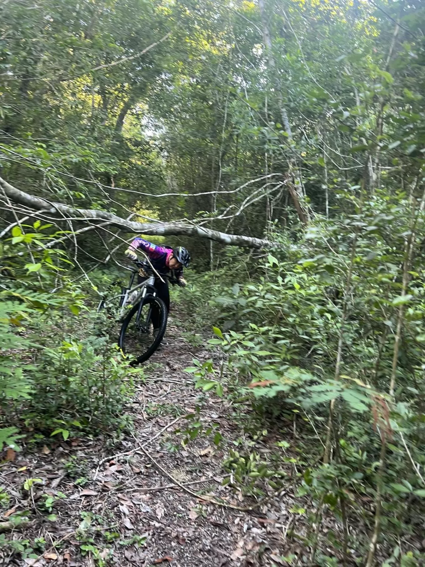 Natural landscape in Quinta Santa Anita