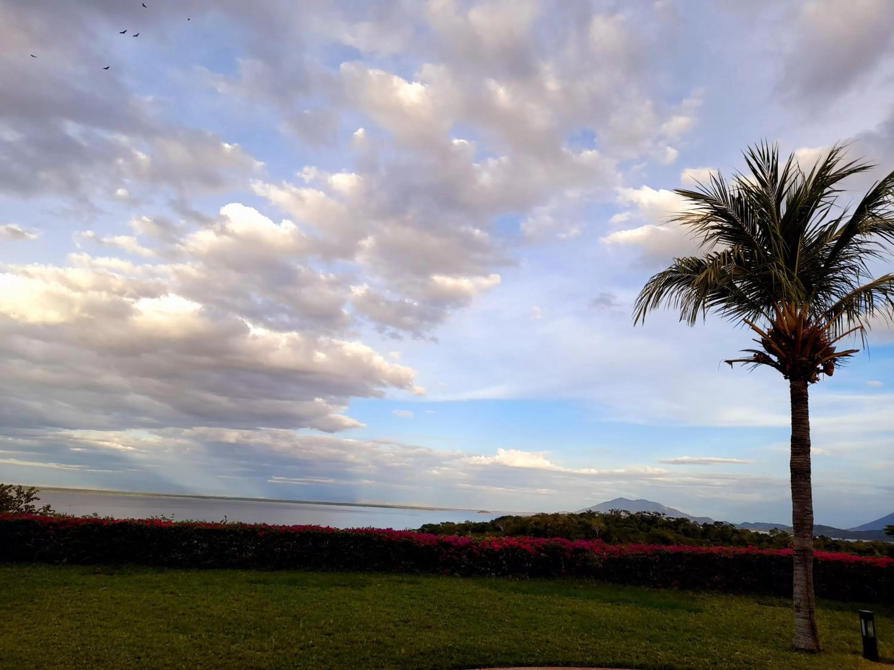 View (from property/room) in Comfort Inn Real La Union