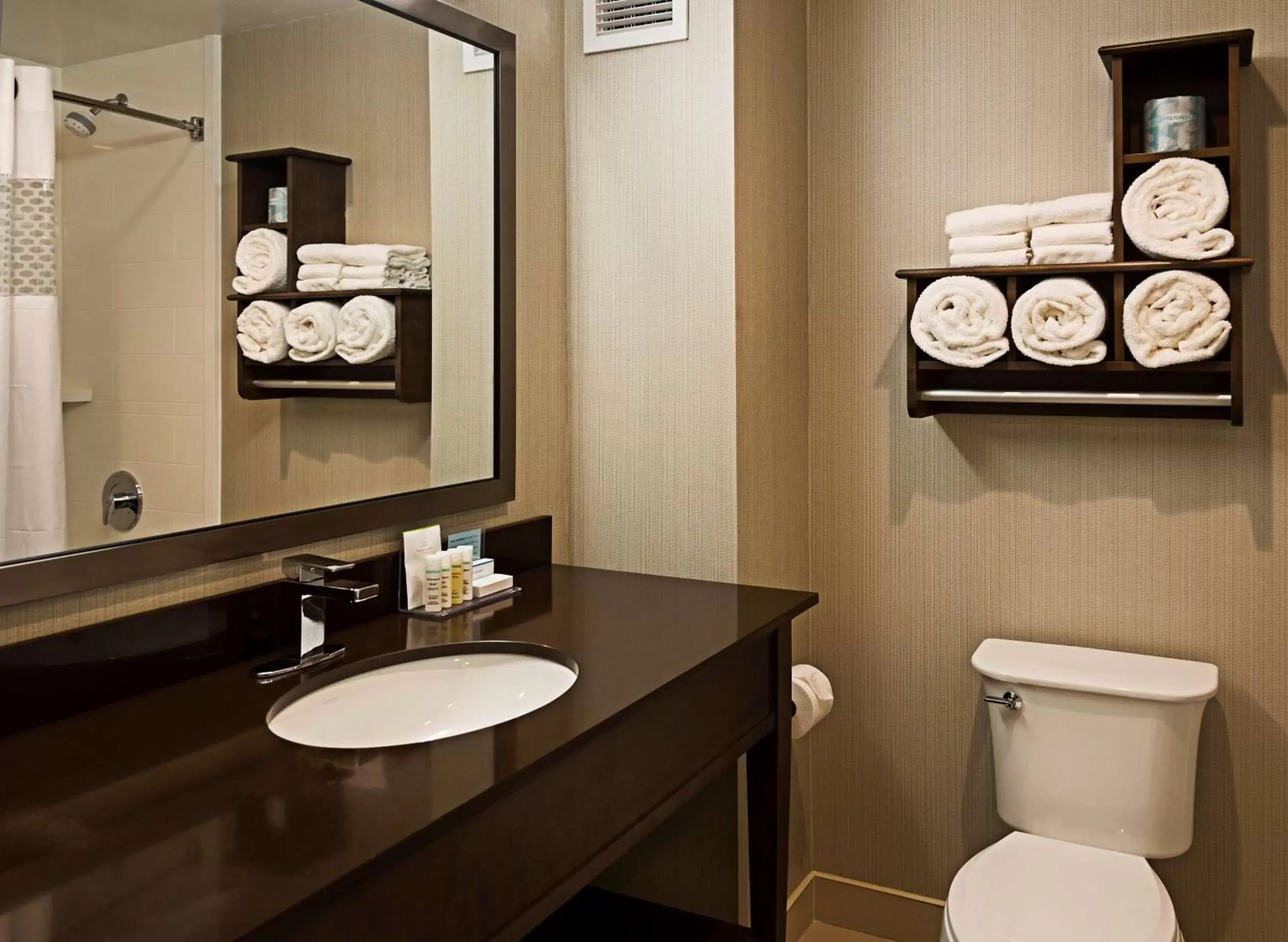 Bathroom in Hampton Inn by Hilton Ottawa Airport