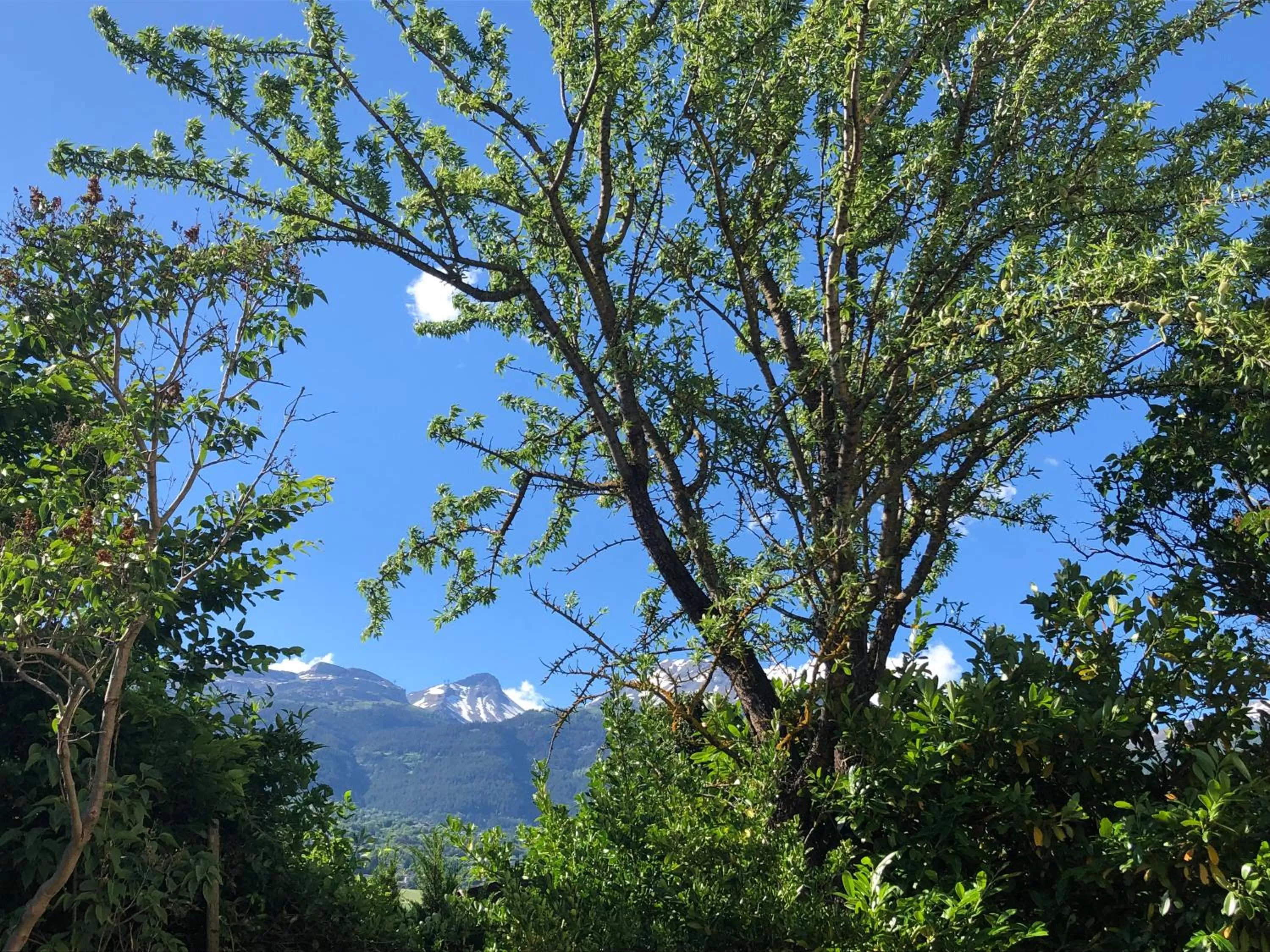 Mountain view in BnB Chantevent