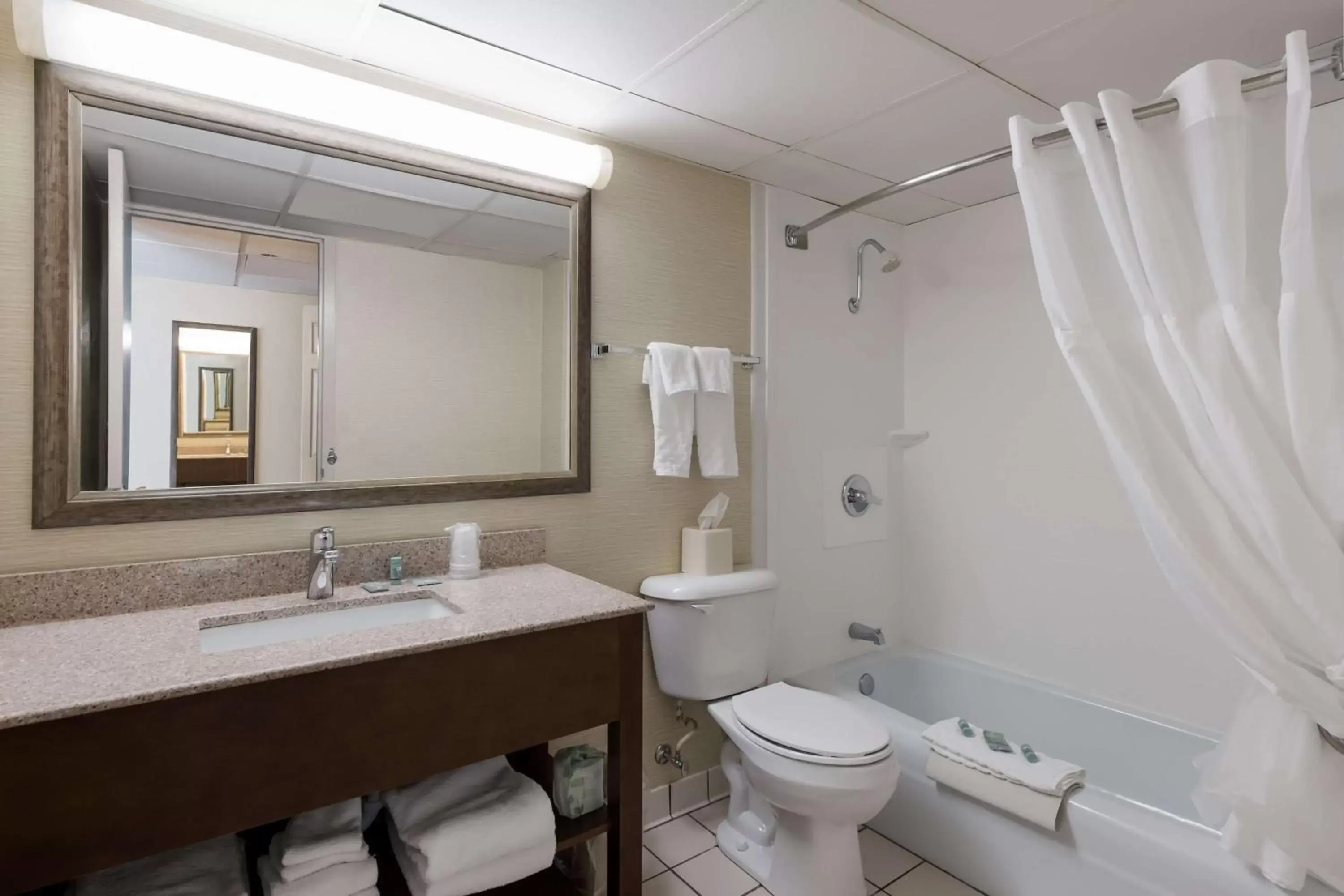 Bathroom in Best Western Holiday Lodge