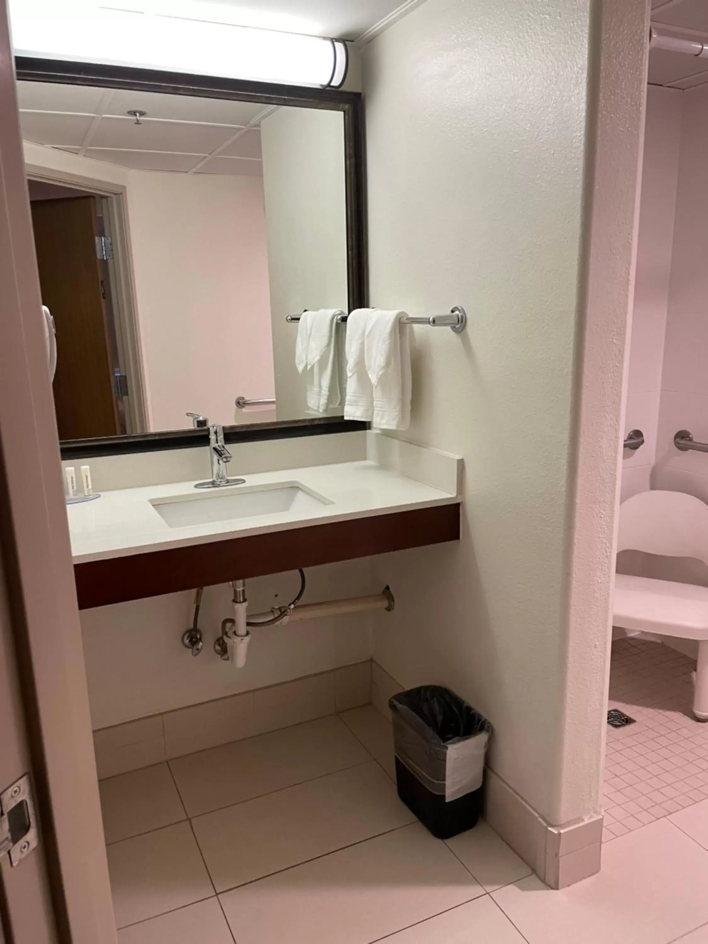 Bathroom in AmericInn by Wyndham Rapid City