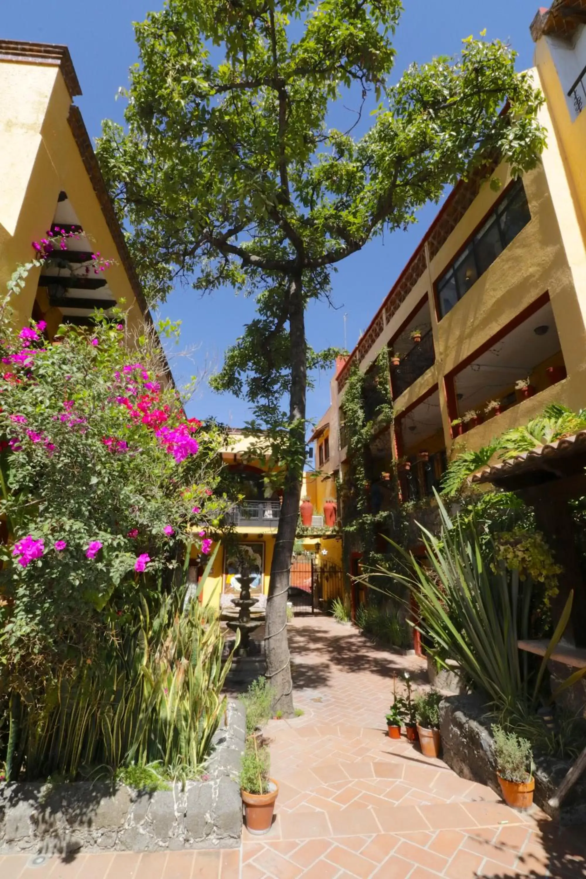 Inner courtyard view, Property Building in Casa Mia Suites