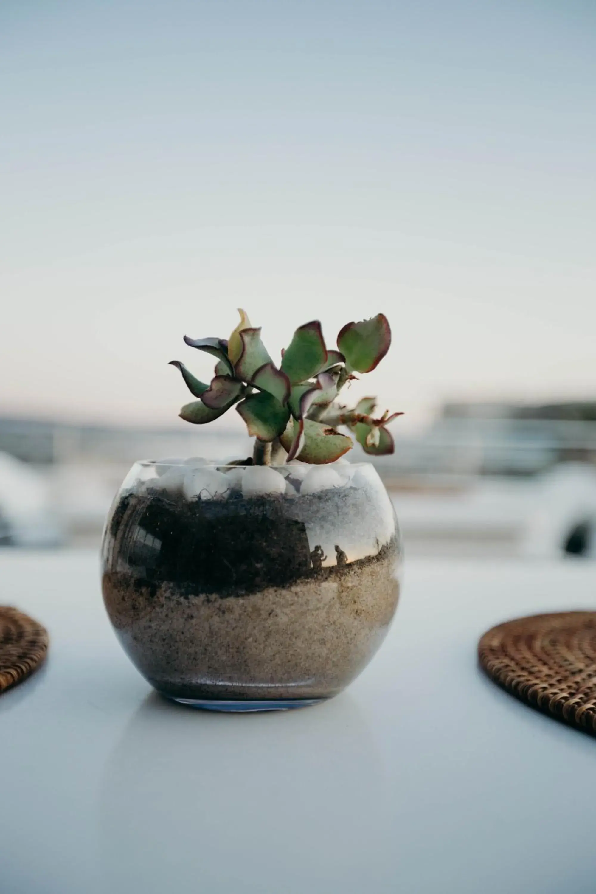 Balcony/Terrace in Robberg Beach Lodge - Lion Roars Hotels & Lodges