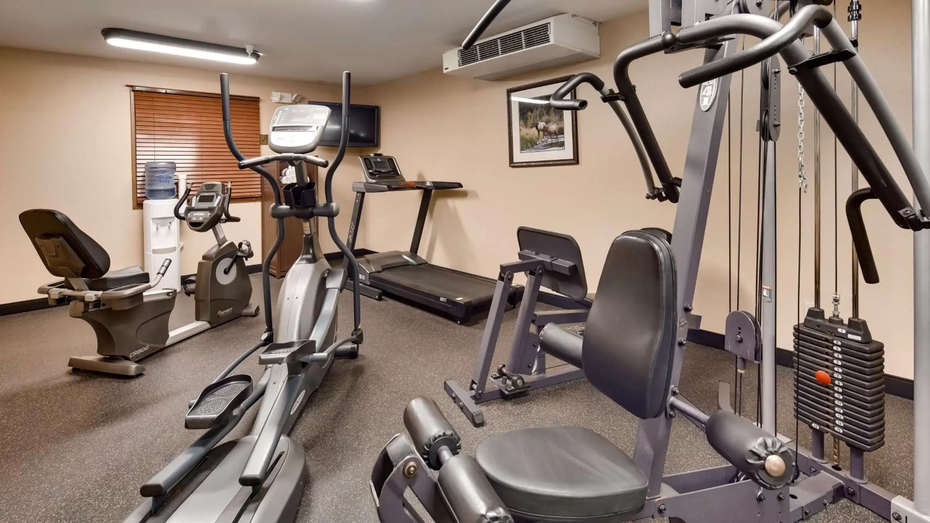 Activities, Fitness Center/Facilities in Best Western Plus Kelly Inn & Suites