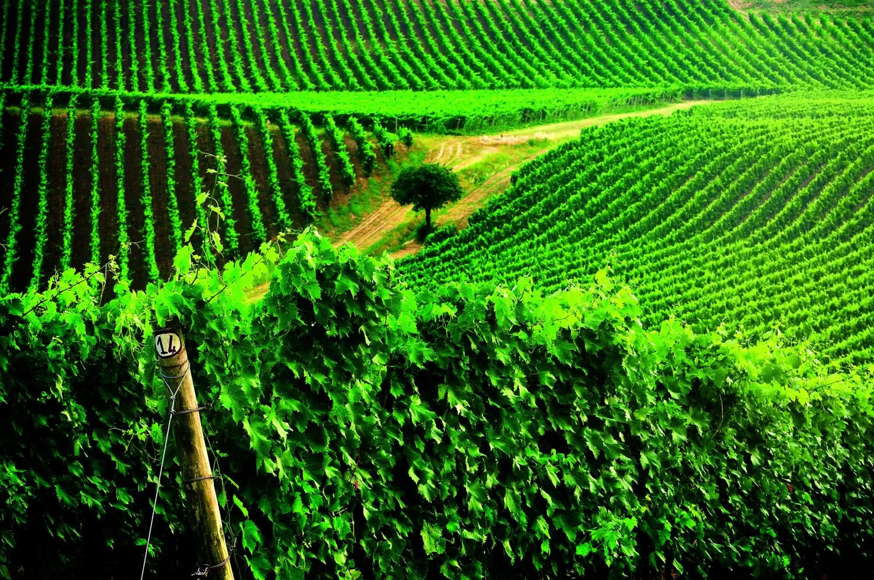 Landmark view in Borgo Conde Wine Resort