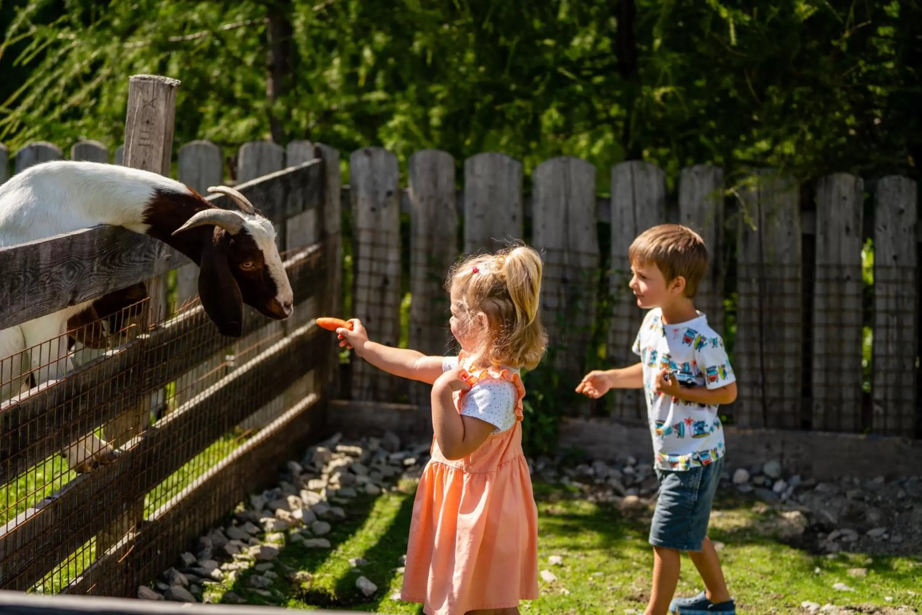 Children play ground, Children in Almwelt Austria