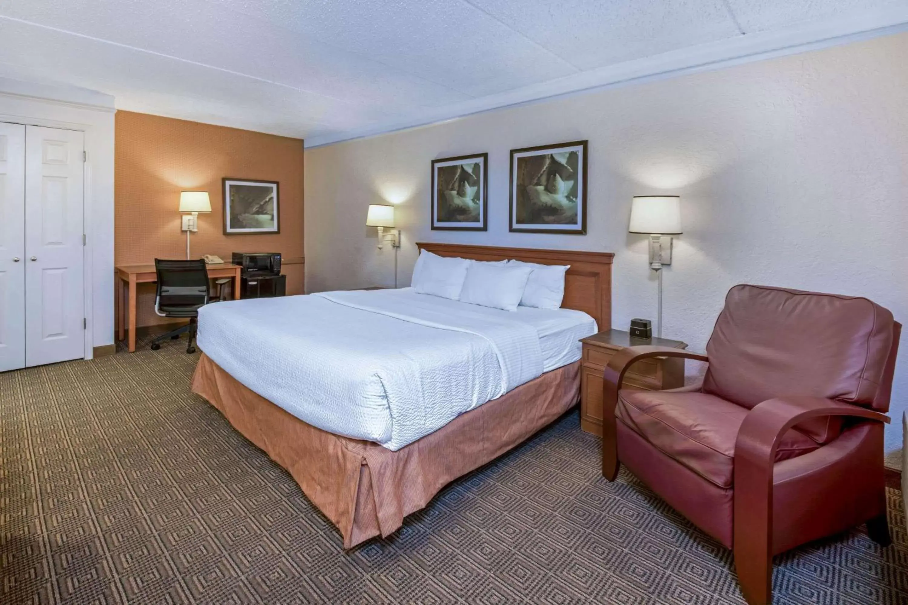 Bed in La Quinta Inn by Wyndham San Antonio I-35 N at Rittiman Rd