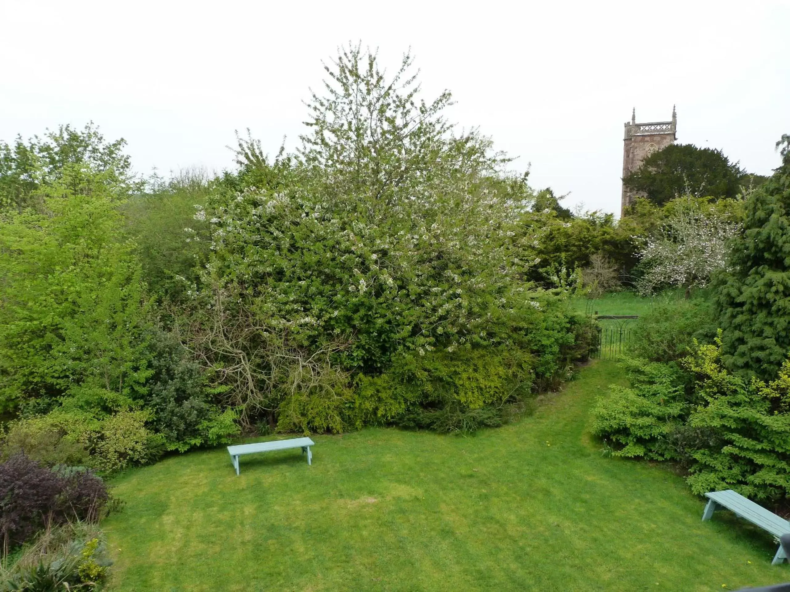 Garden in Cameley Lodge - Self Catering