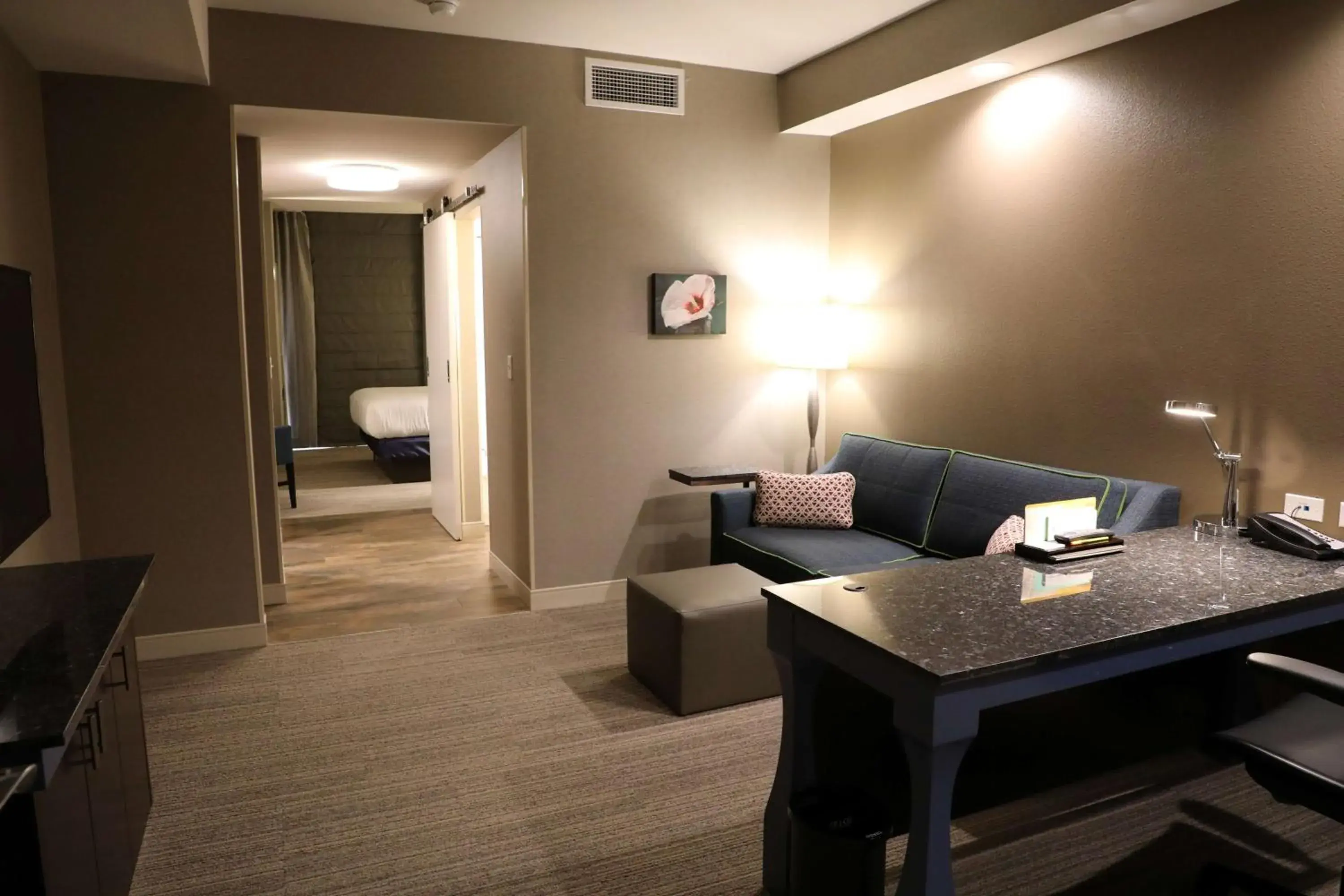 Bedroom, Seating Area in Hilton Garden Inn Austin Airport