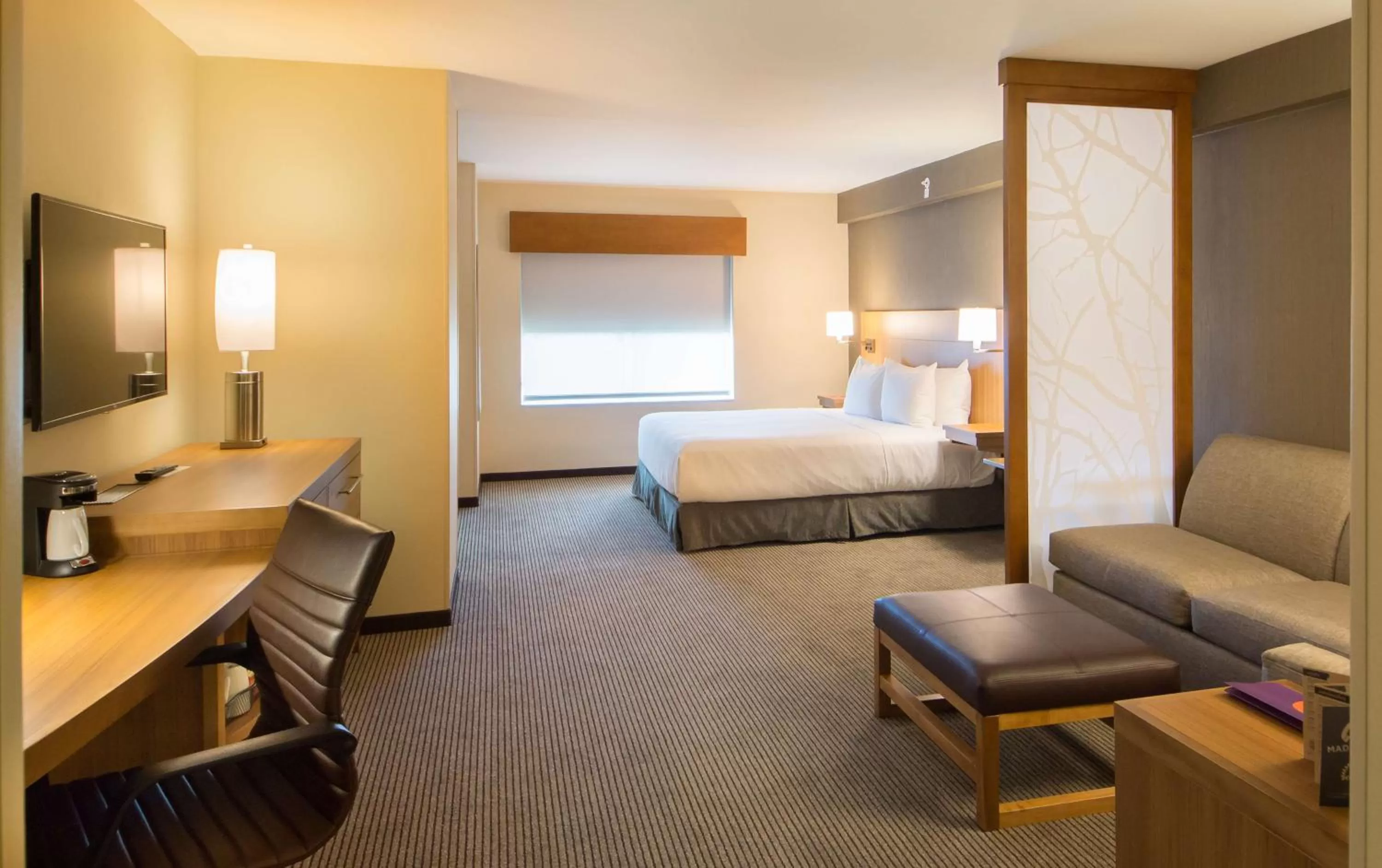 Photo of the whole room, Bed in Hyatt Place Orlando/Lake Buena Vista