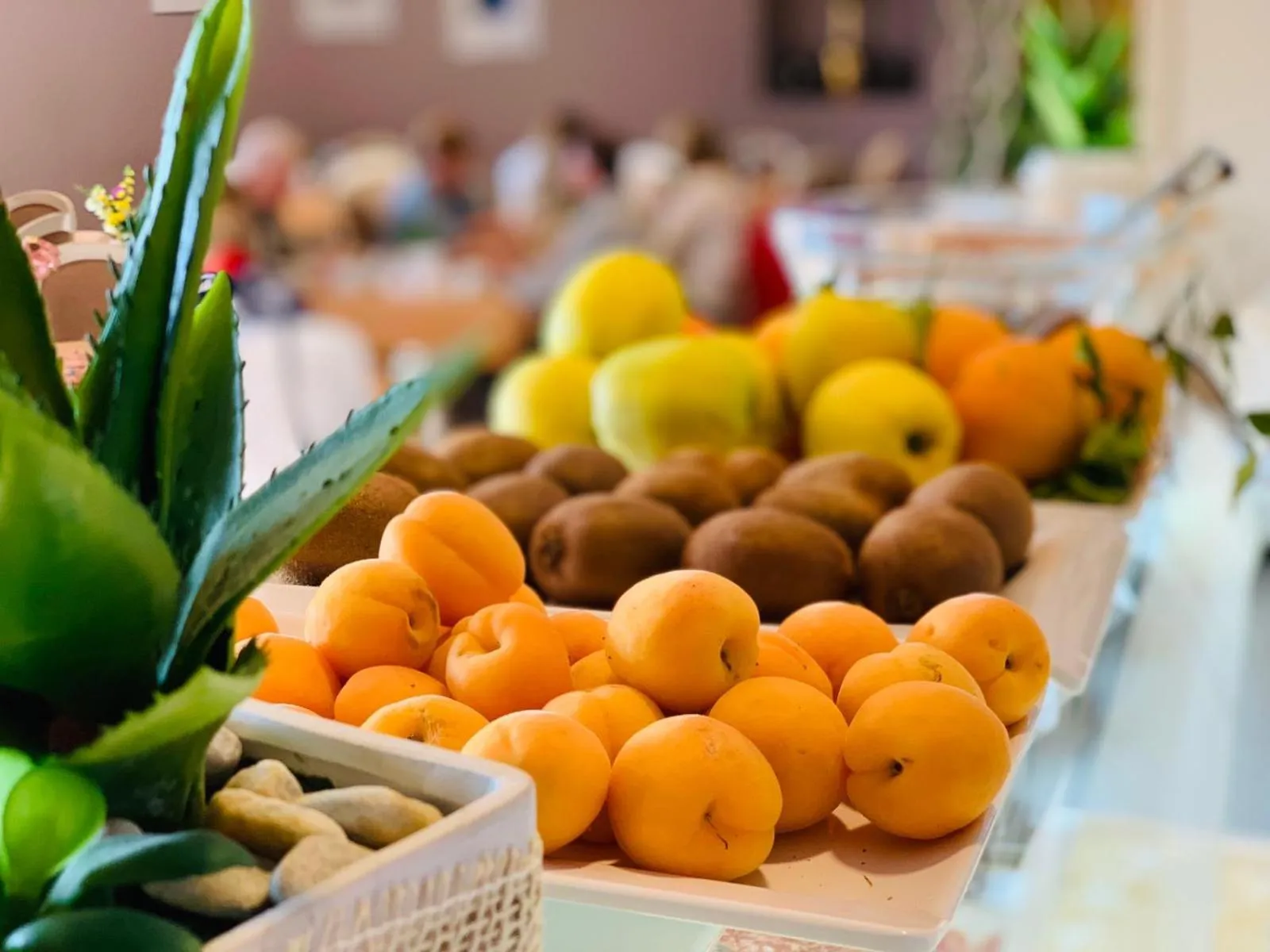 Food in Gran Paradiso Hotel Spa