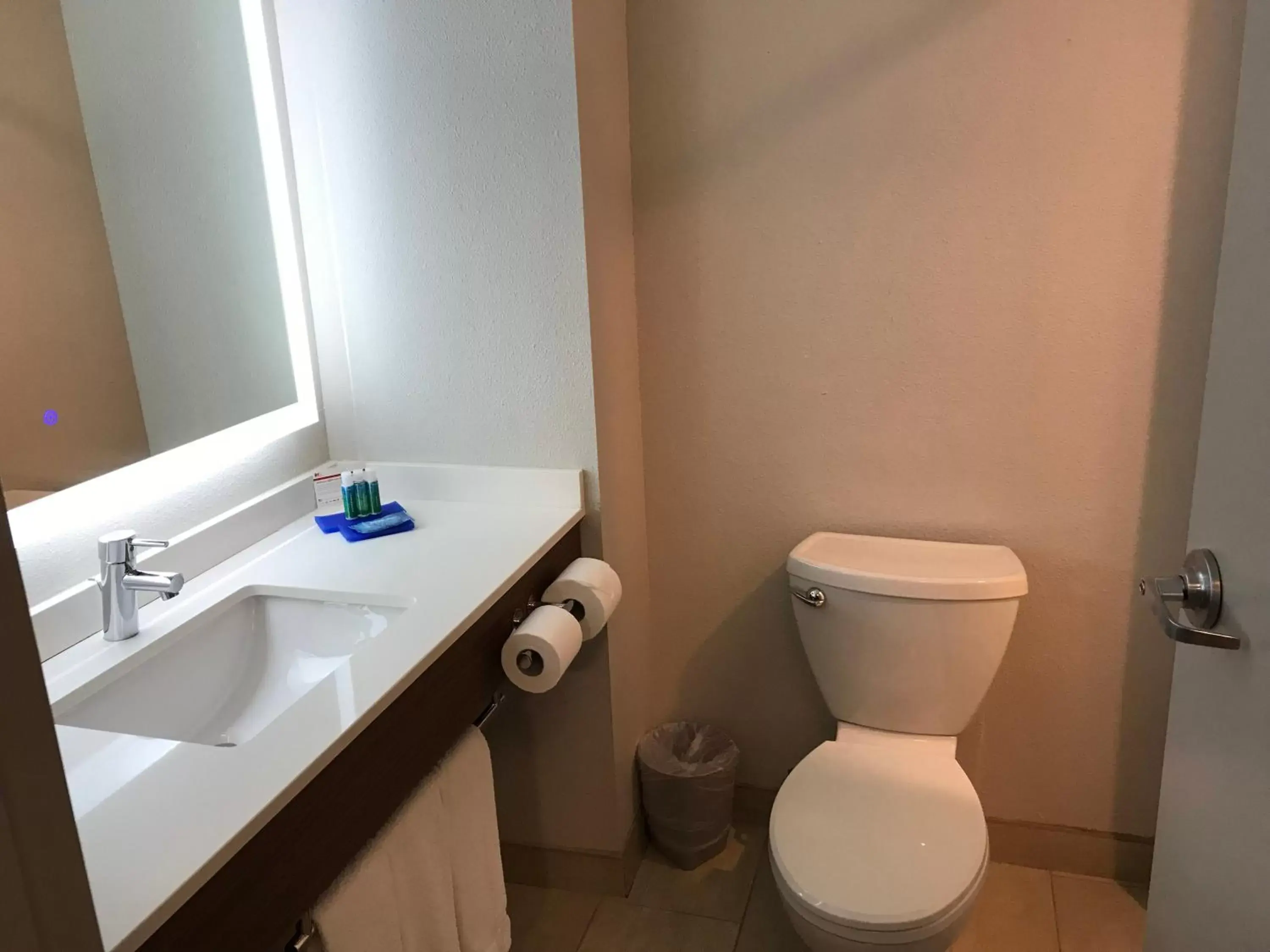 Bathroom in Holiday Inn Express Orlando - South Davenport, an IHG Hotel