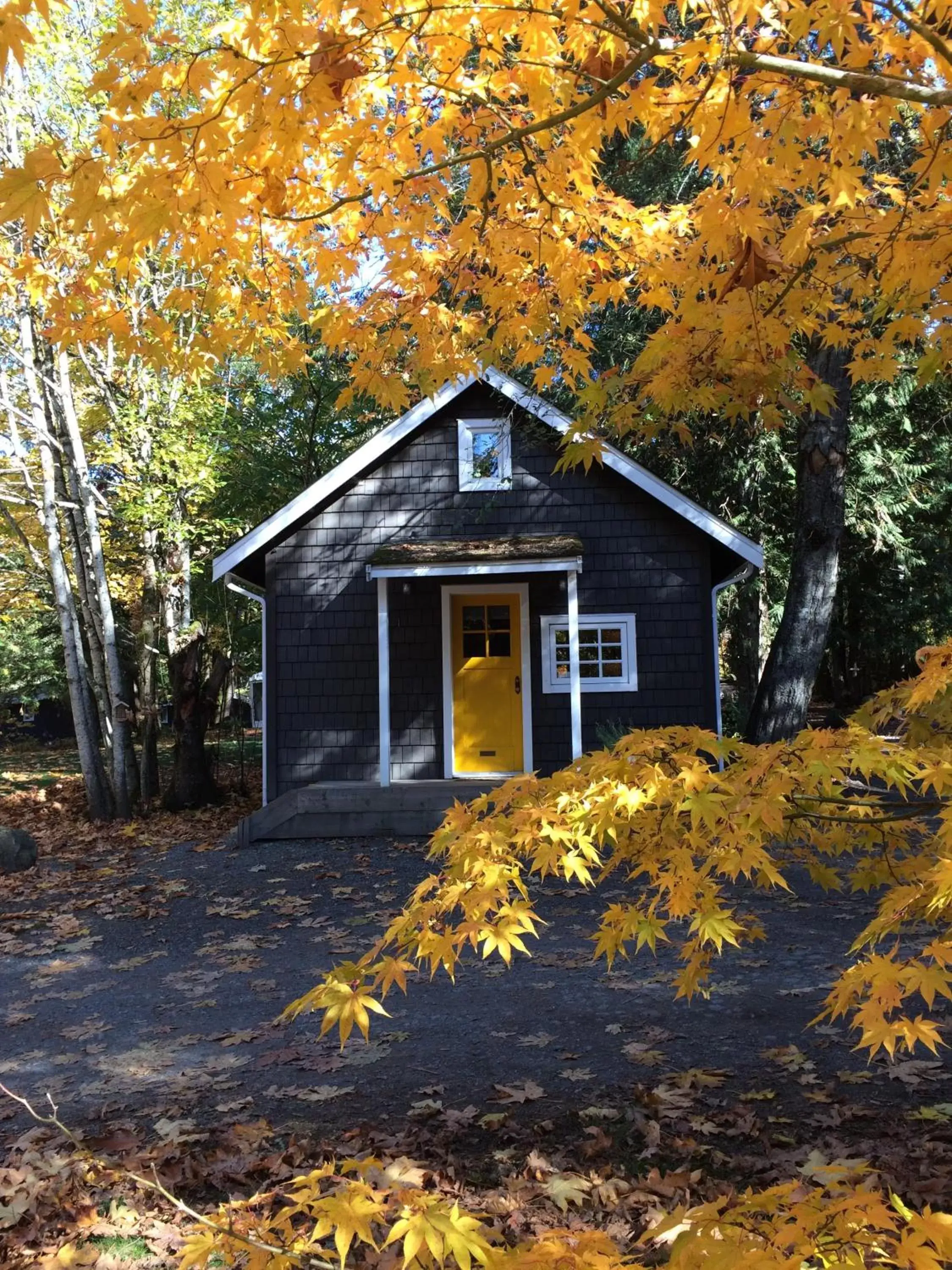 Facade/entrance, Property Building in Sunwolf Riverside Cabins