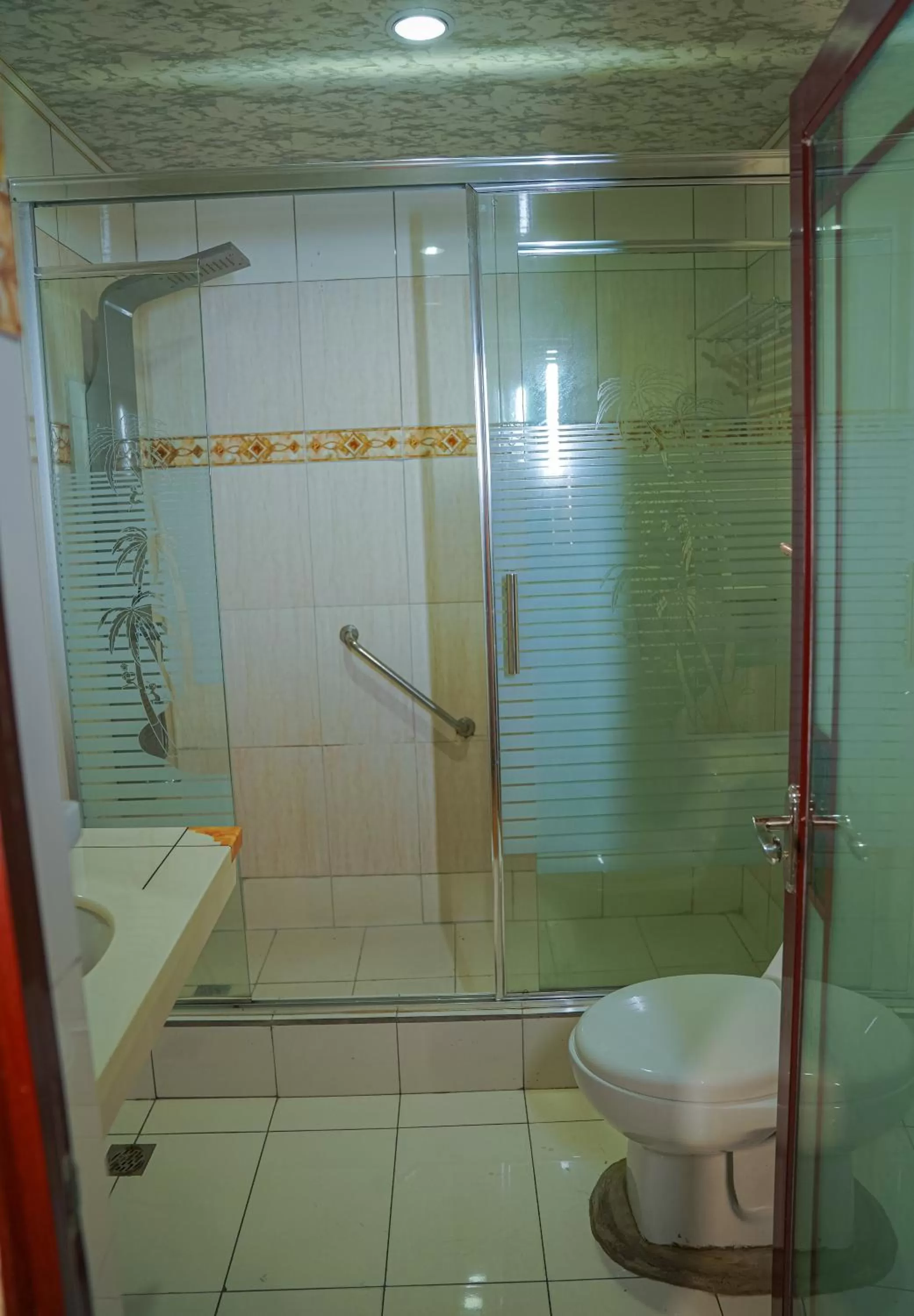 Shower in Metro Hotel Couva