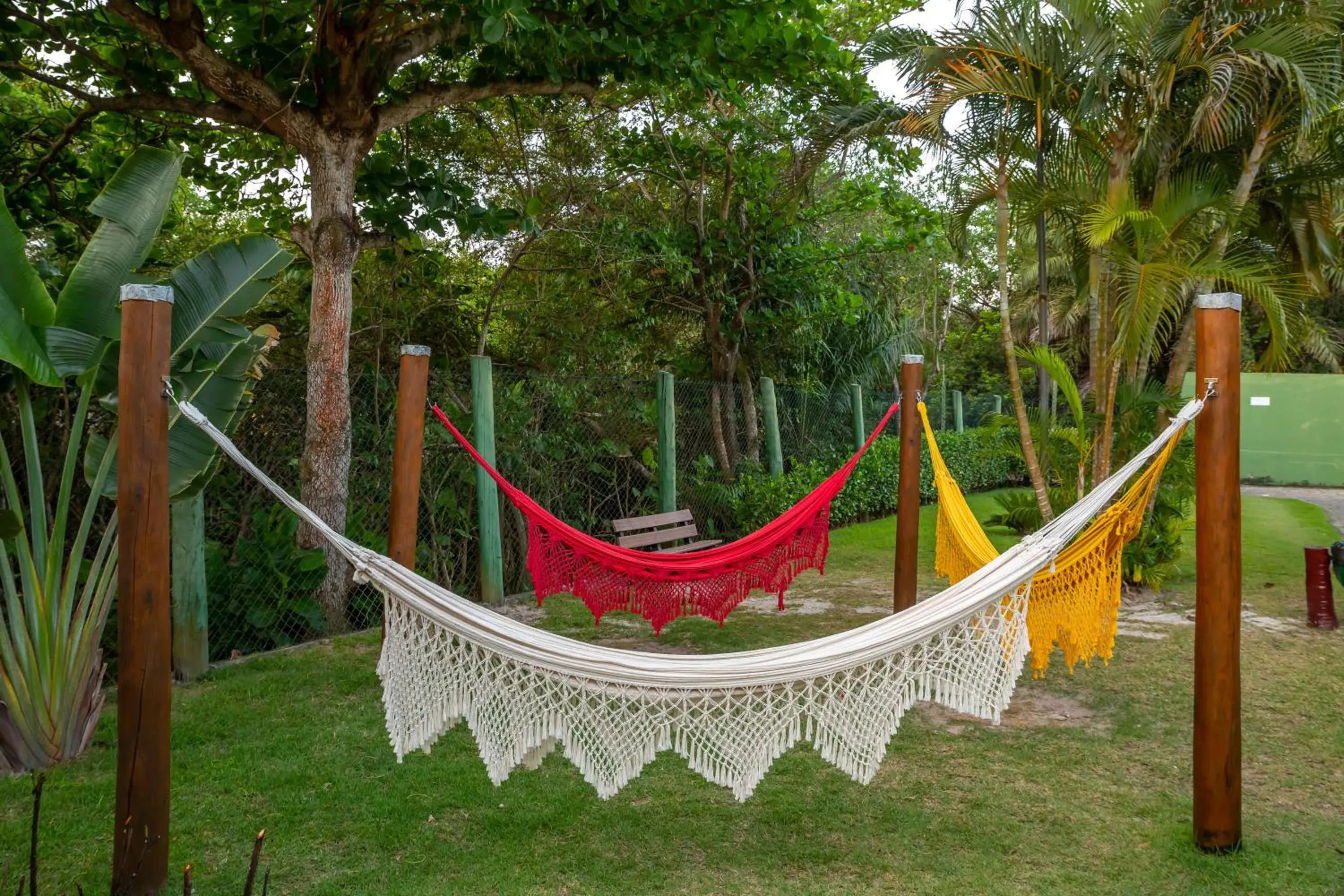 Garden in Transoceanico Praia Hotel