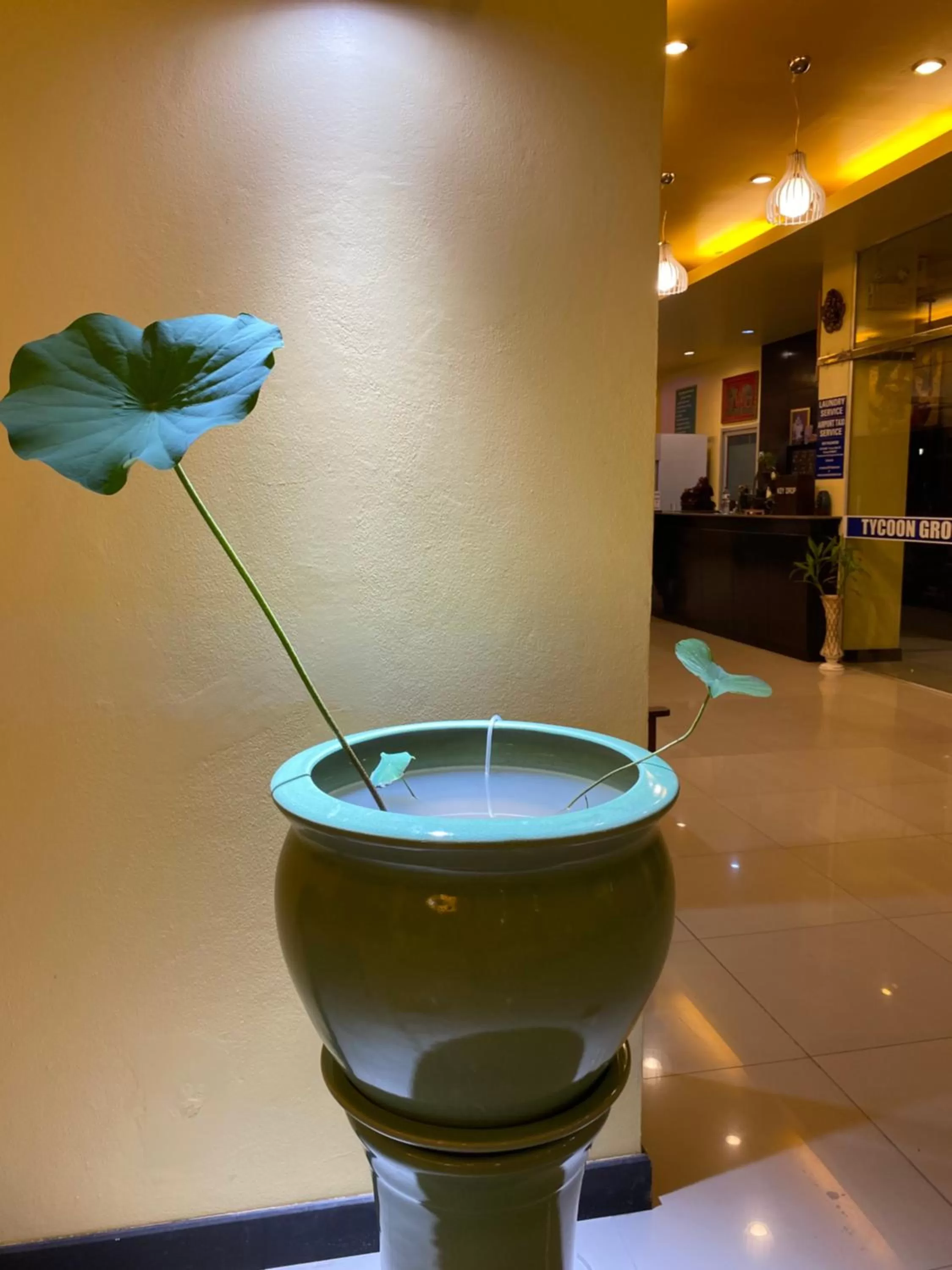 Communal lounge/ TV room in Tycoon place garden