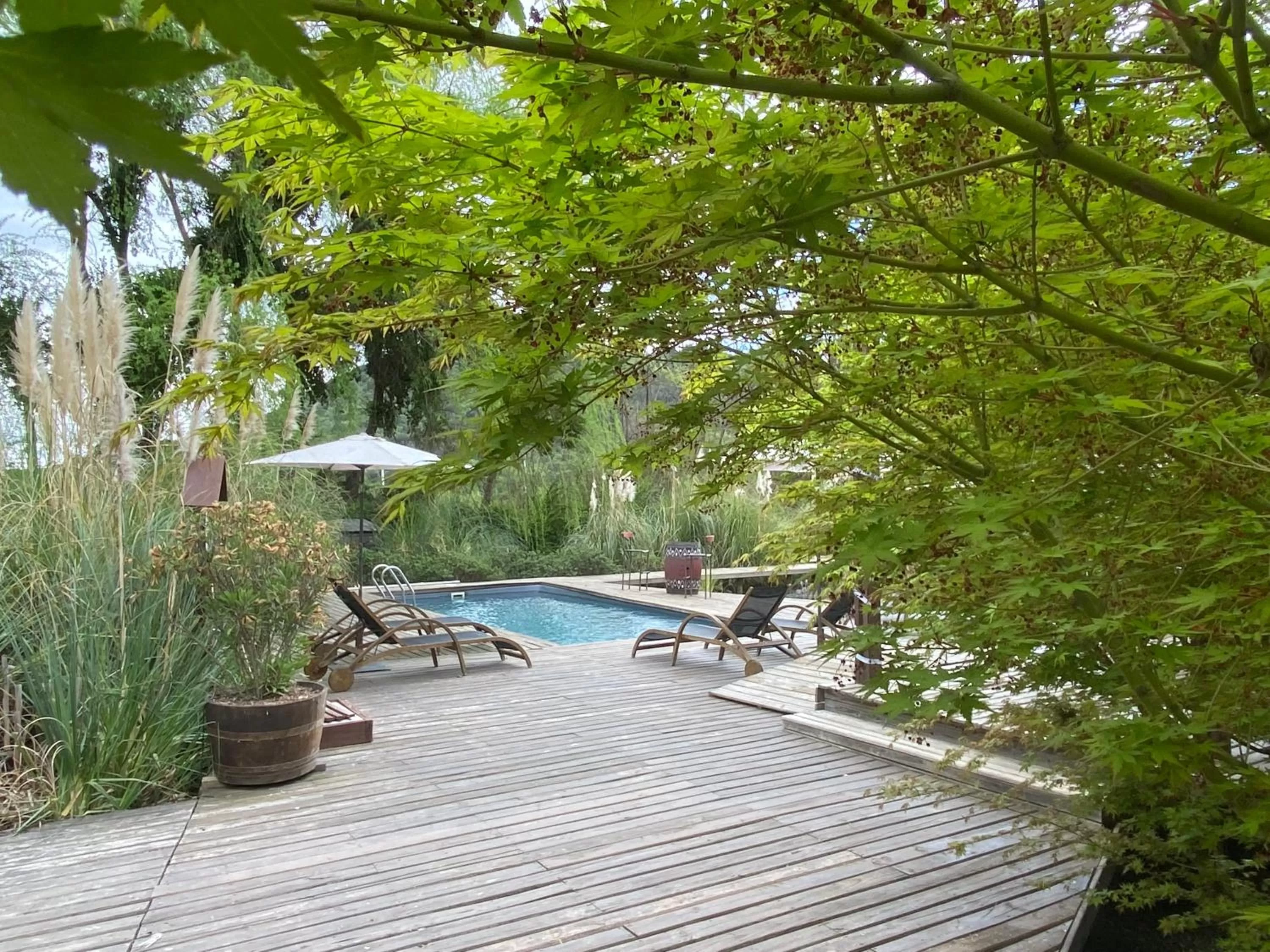 Swimming Pool in Barrica Lodge