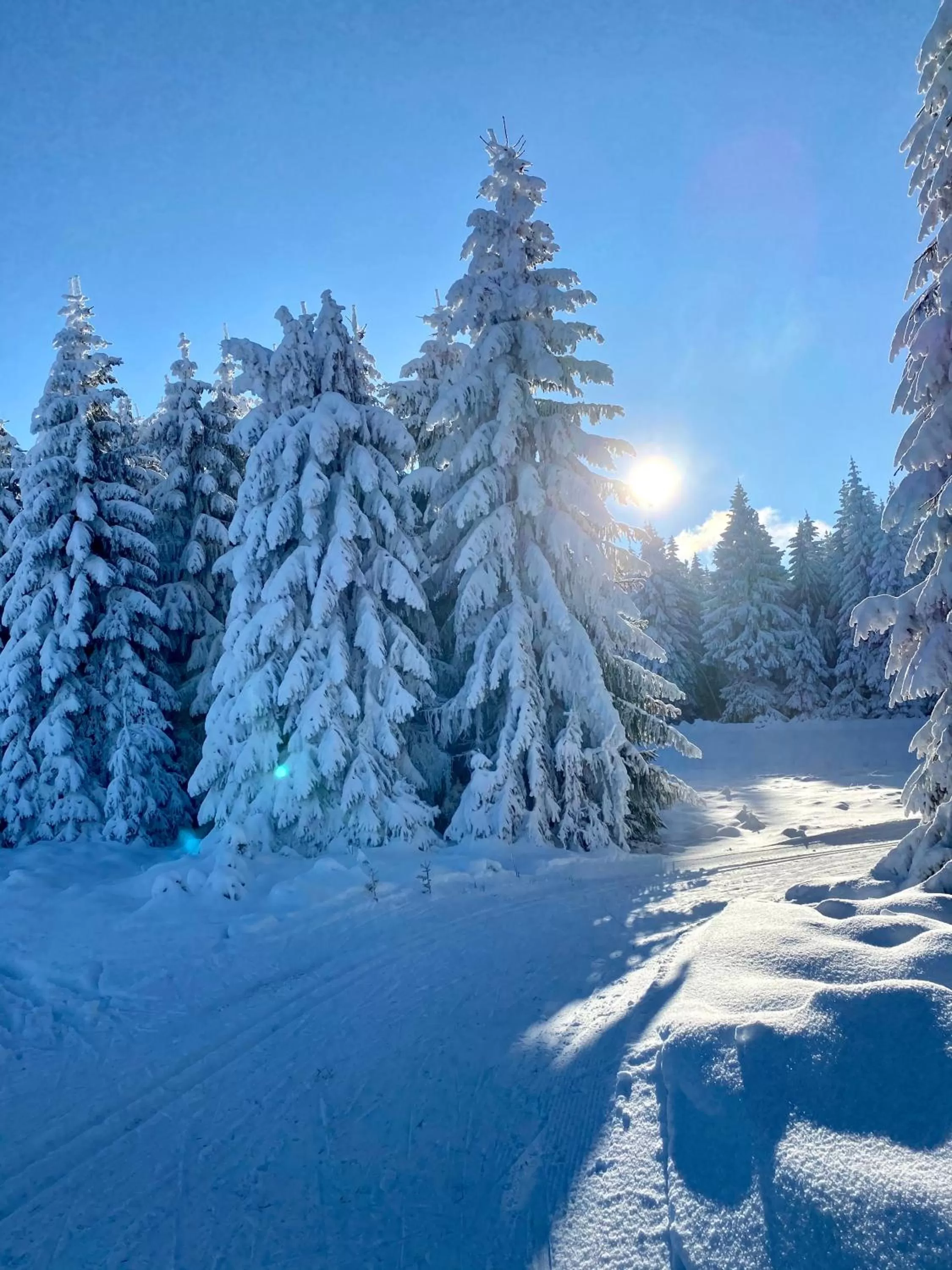 Natural landscape in Vila Jáchymov