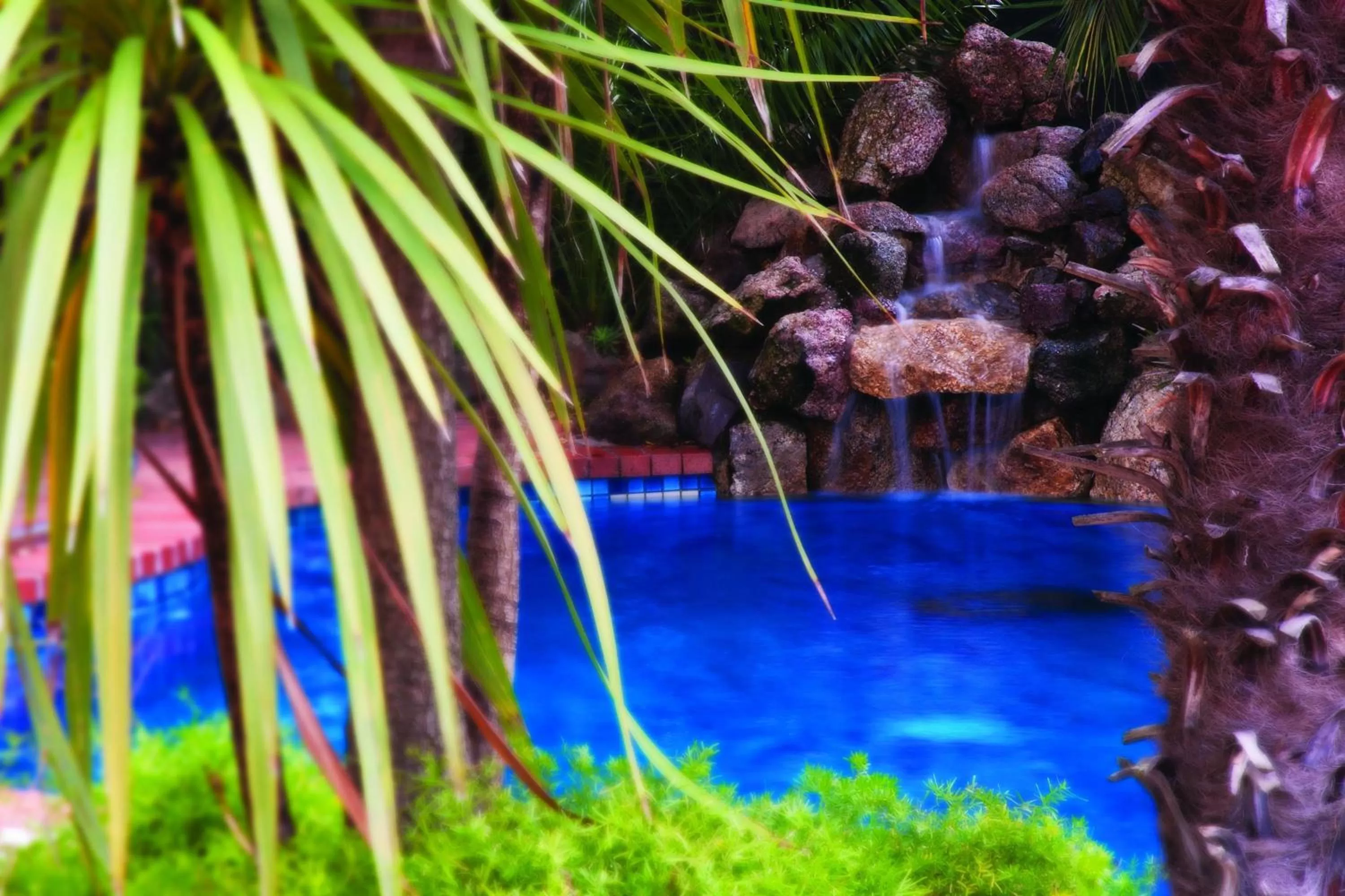 Swimming pool in Mercure Albury