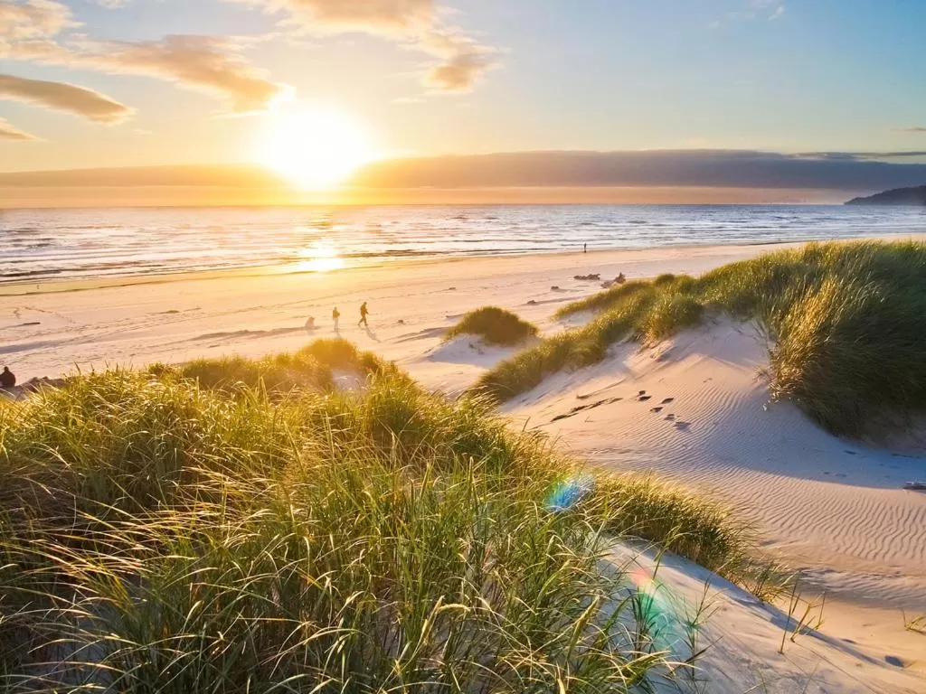 Spring in Ocean Shores Resort
