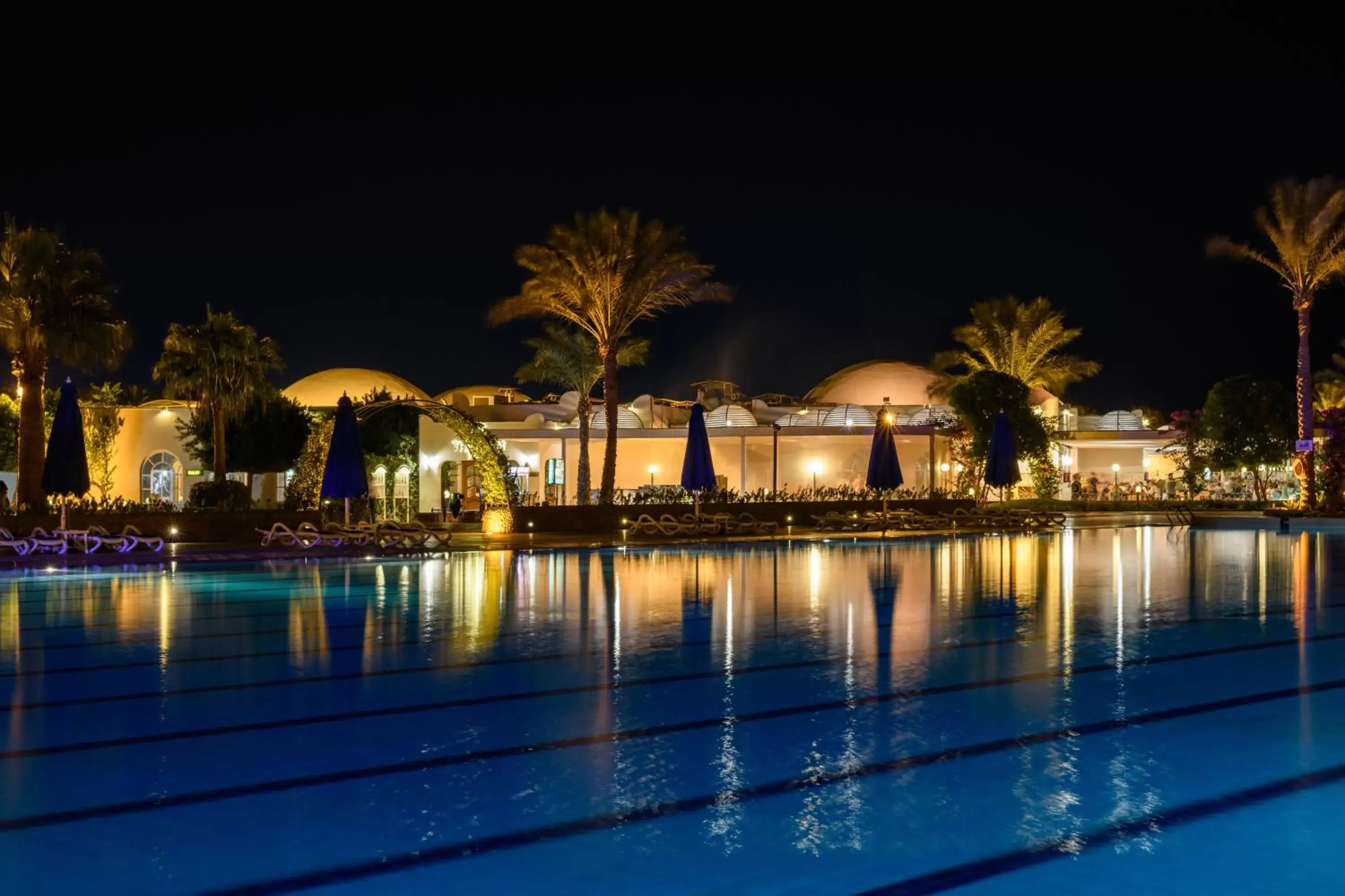 Night, Swimming Pool in Desert Rose Resort