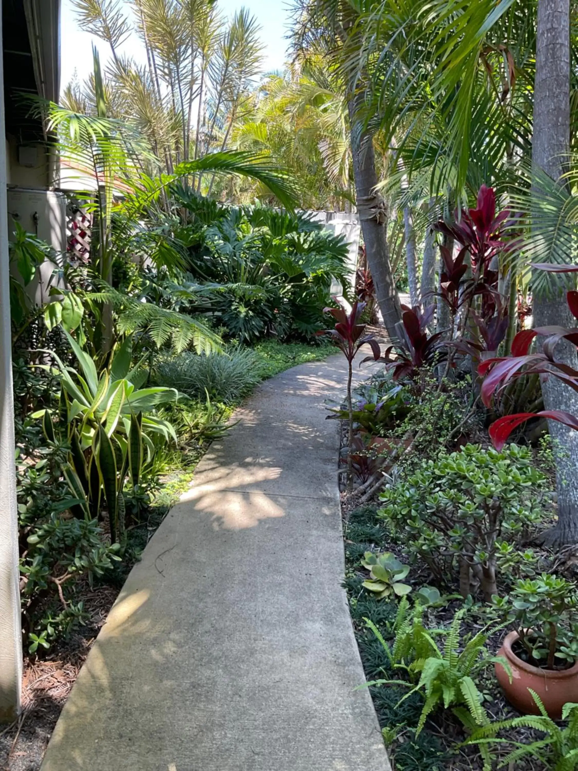 Garden in Private Suite Nautilus Beach Front Resort