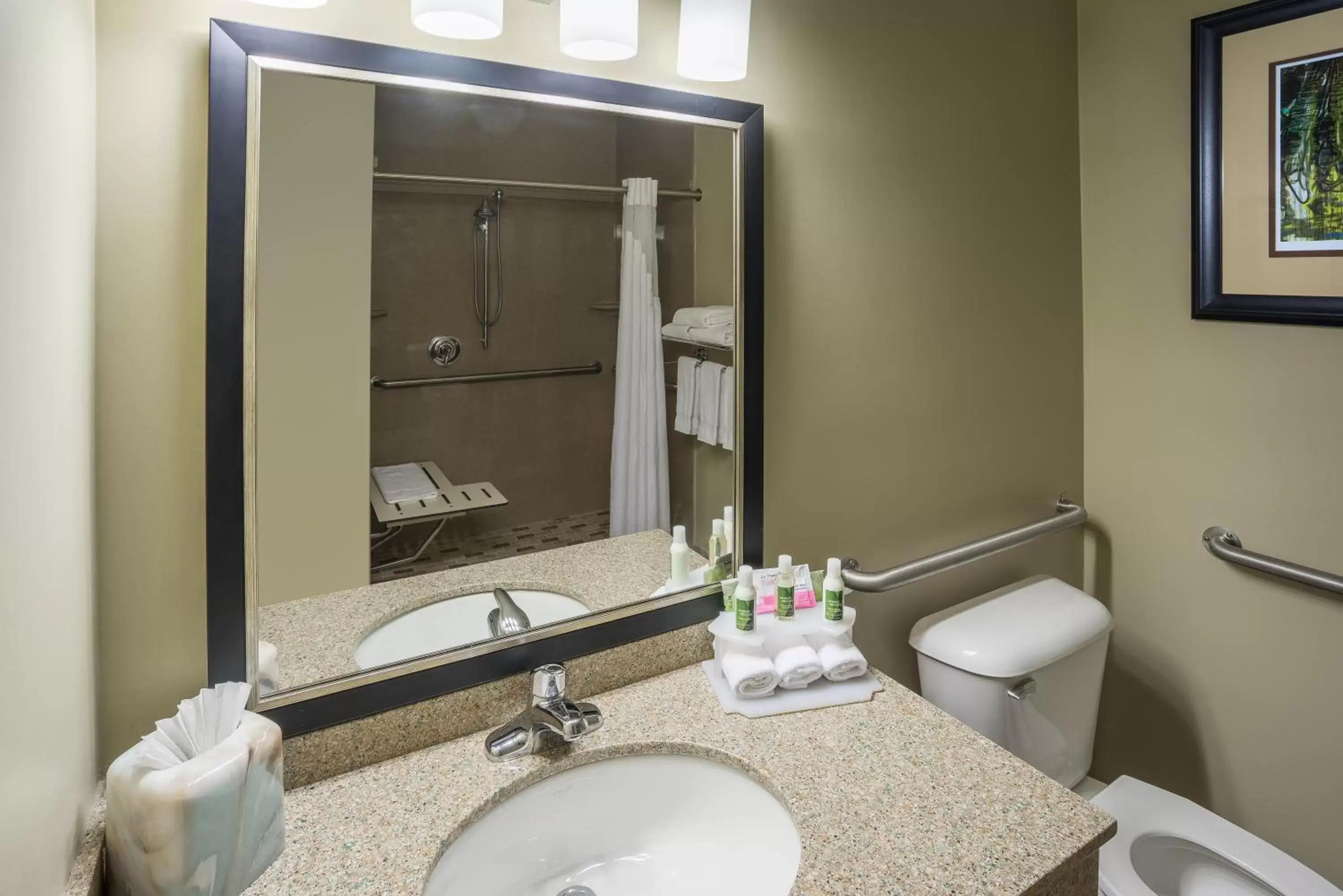 Toilet, Bathroom in Holiday Inn Express Hotel & Suites St. Paul - Woodbury, an IHG Hotel