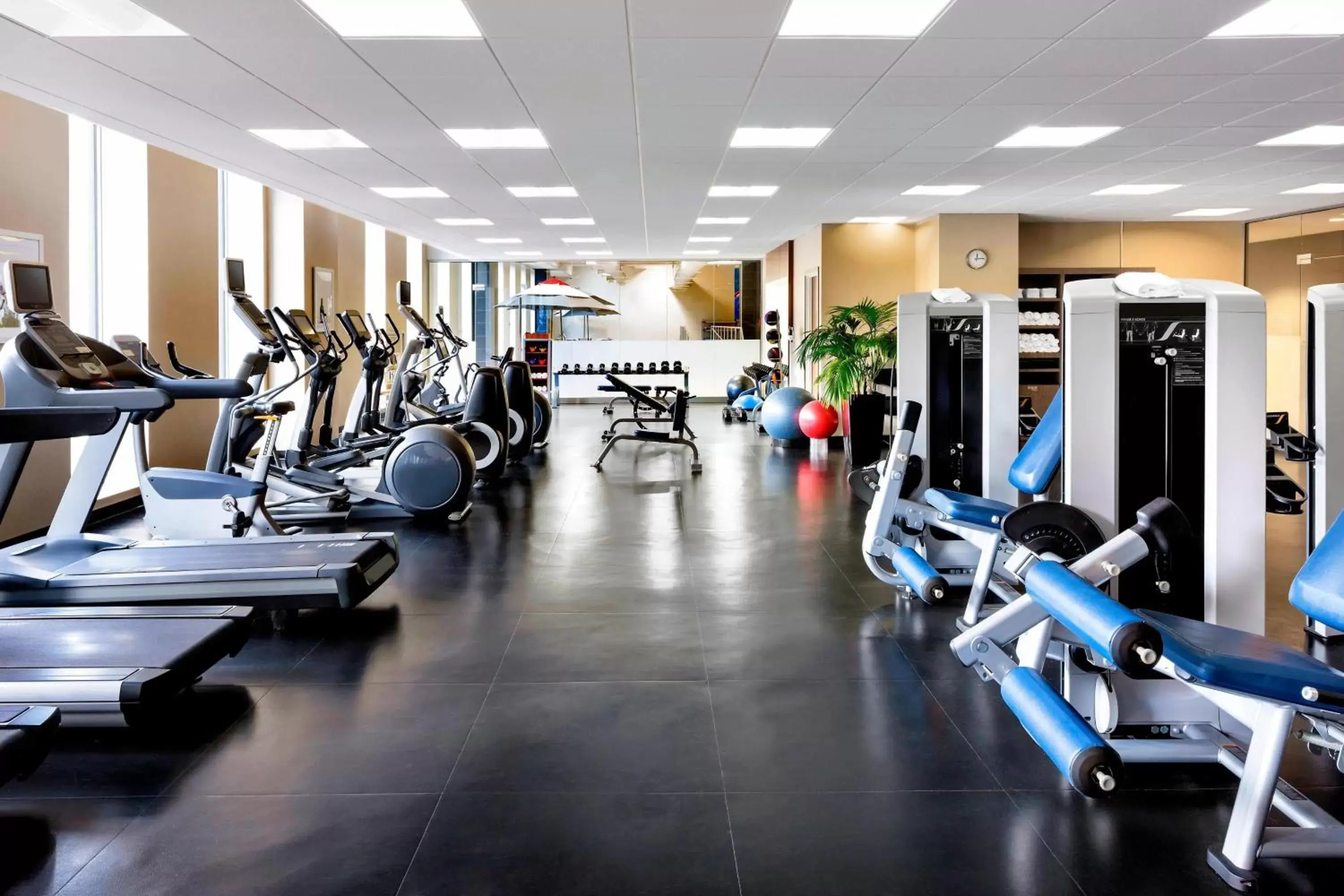 Fitness centre/facilities, Fitness Center/Facilities in Le Westin Montreal