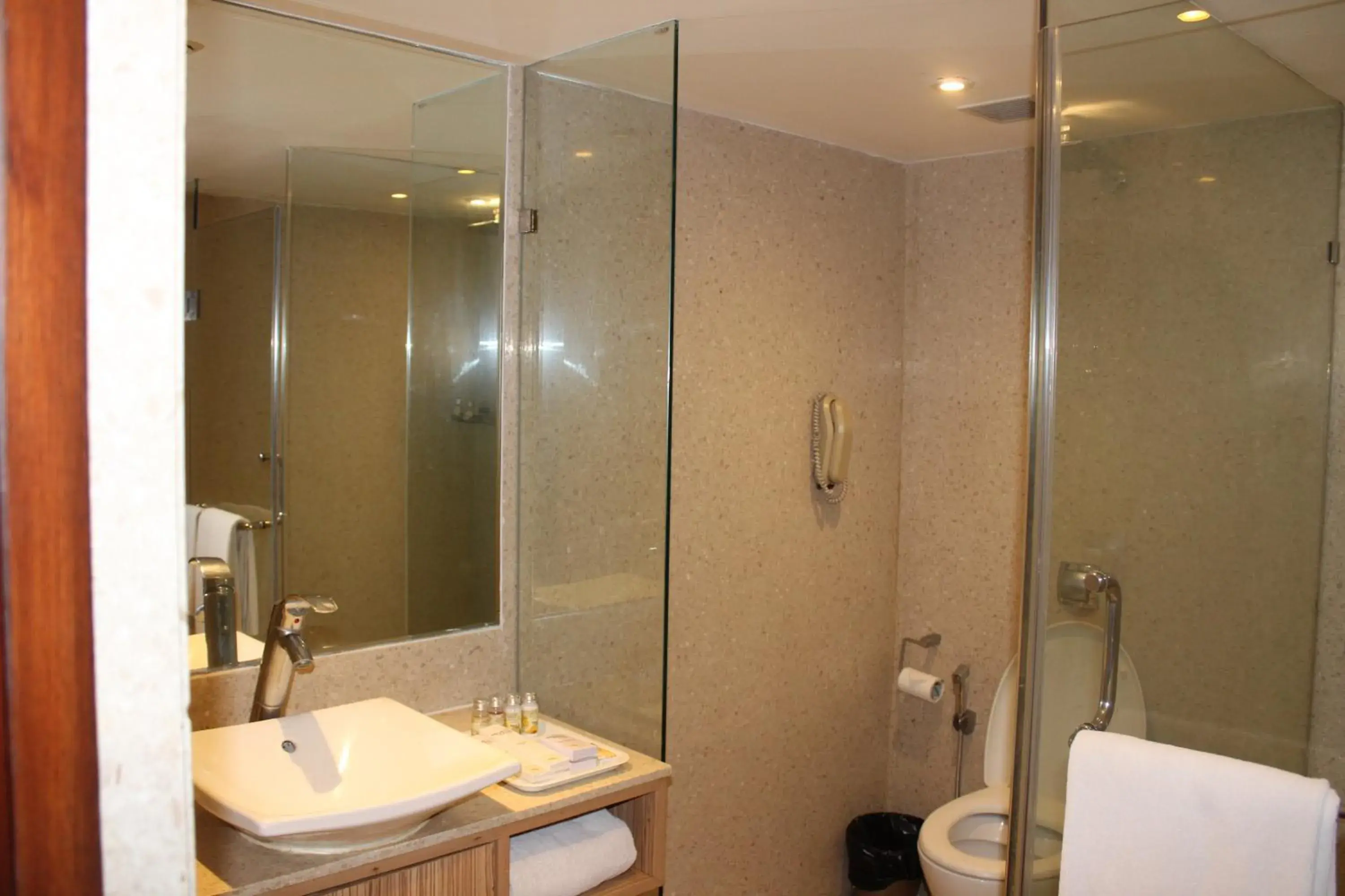 Bathroom in Pride Plaza Hotel, Ahmedabad