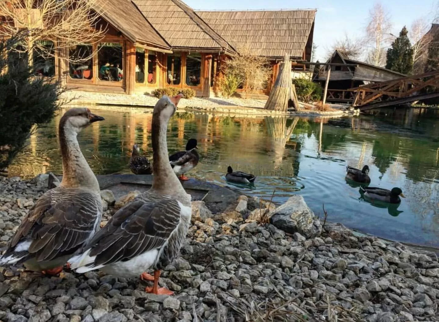 Garden, Other Animals in Ethno Village Stanisici
