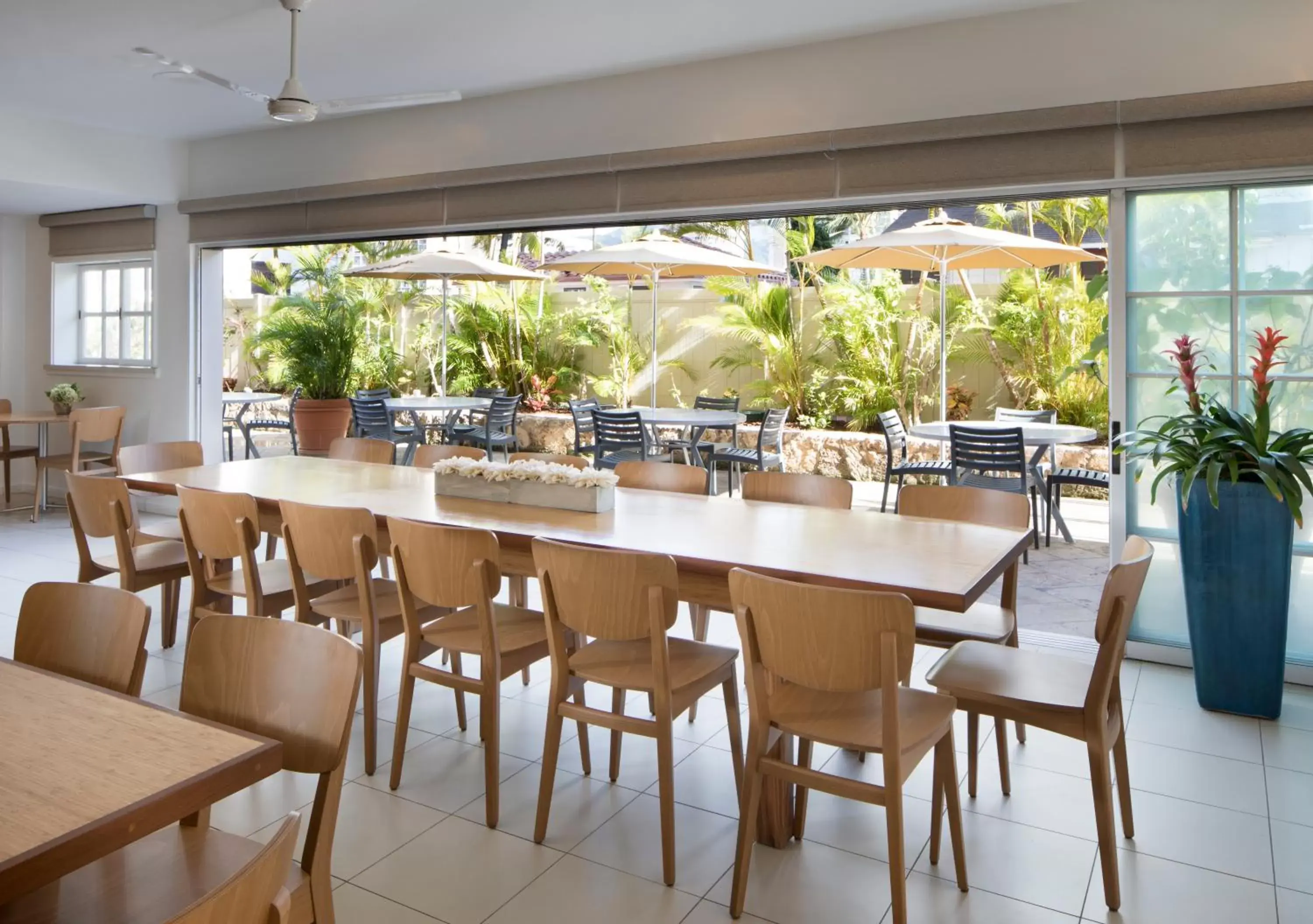 Restaurant/Places to Eat in Coconut Waikiki Hotel