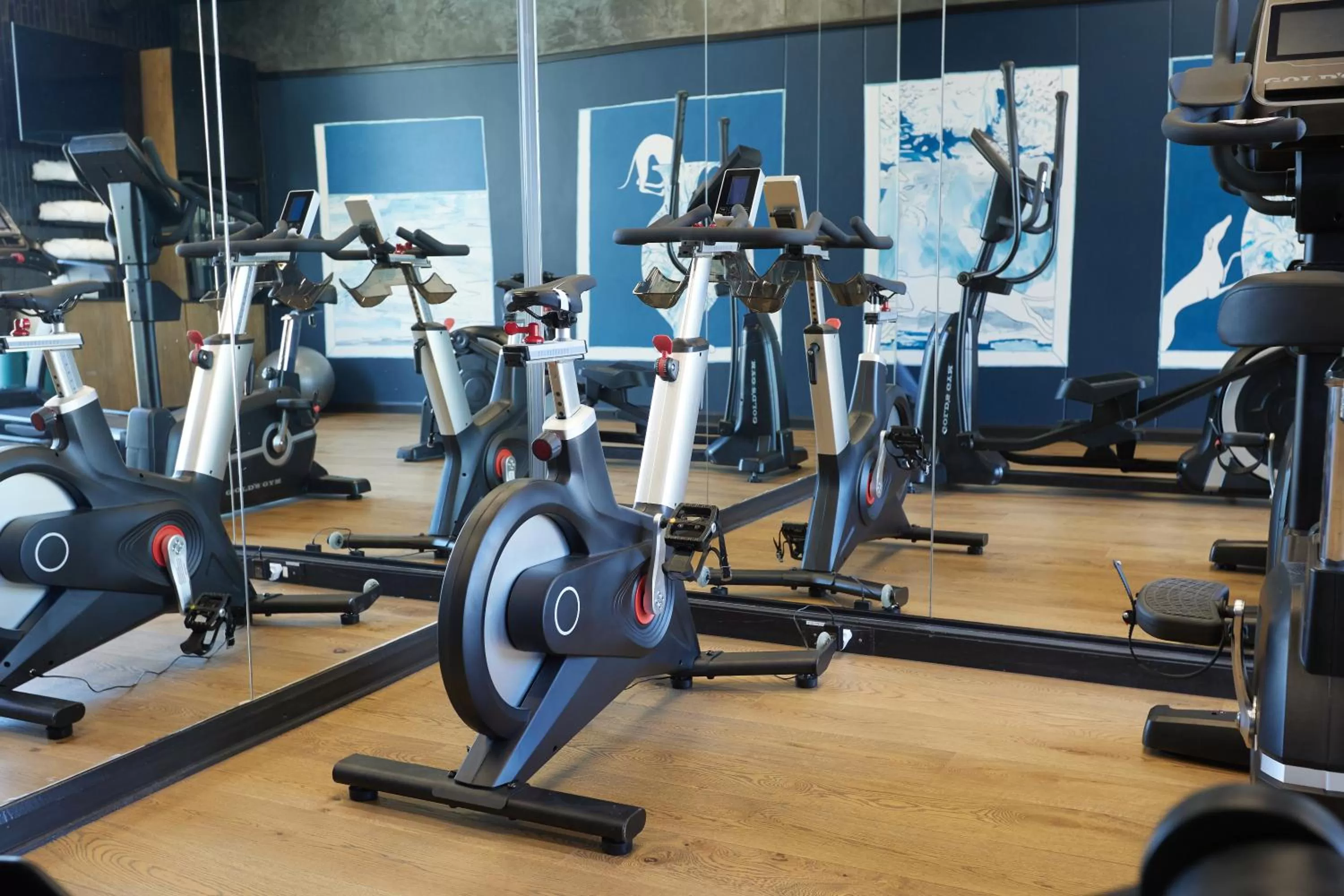 Fitness centre/facilities in HYDE JOHANNESBURG ROSEBANK