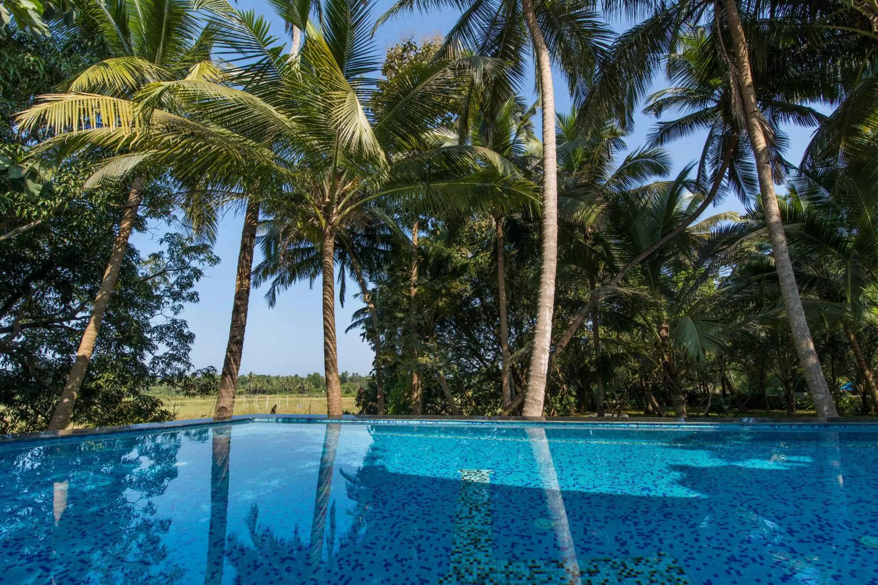Swimming pool in ROSASTAYS South Goa